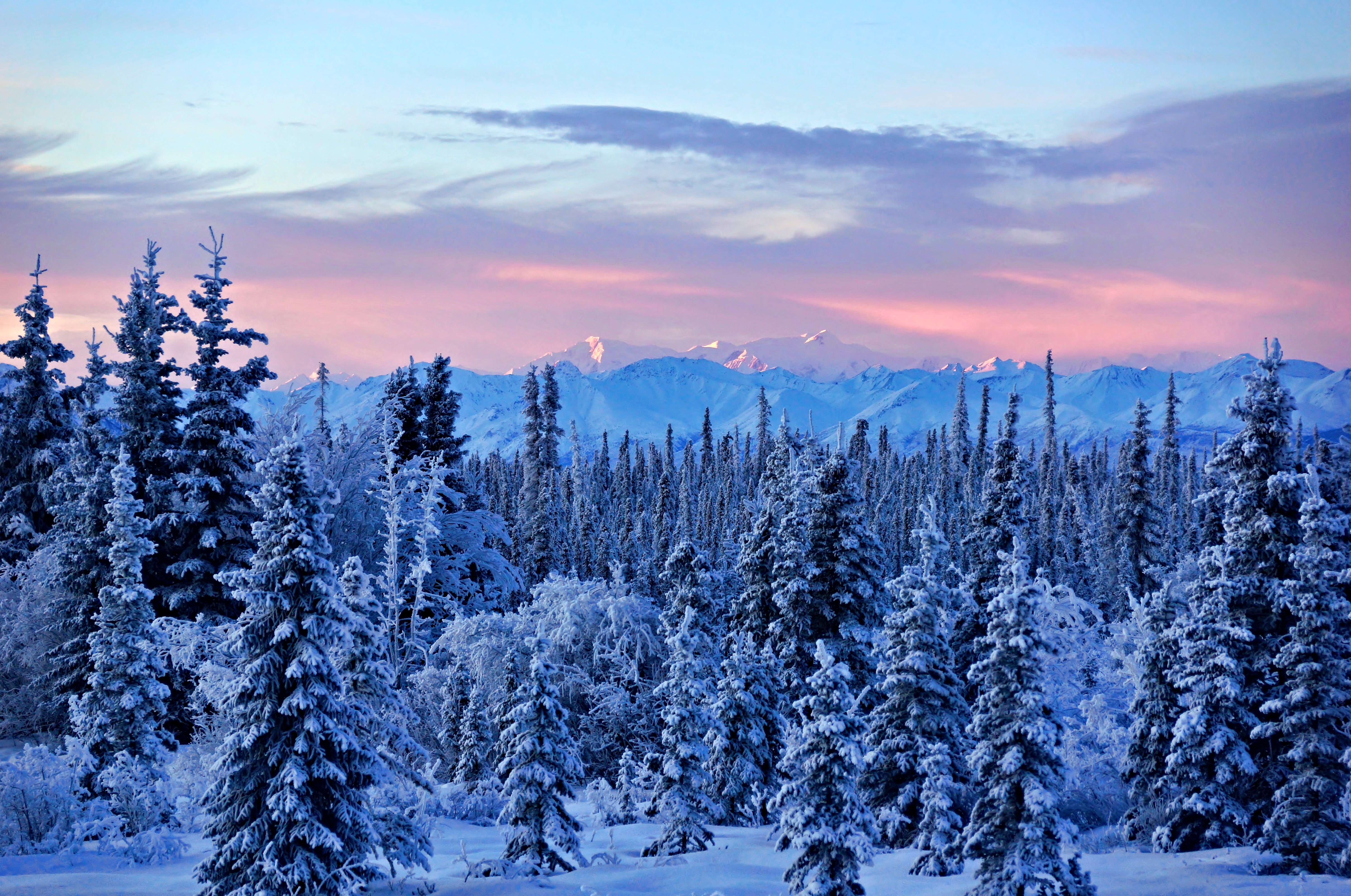 Скачать обои бесплатно Зима, Природа, Снег, Гора, Лес, Ландшафт, Земля/природа картинка на рабочий стол ПК