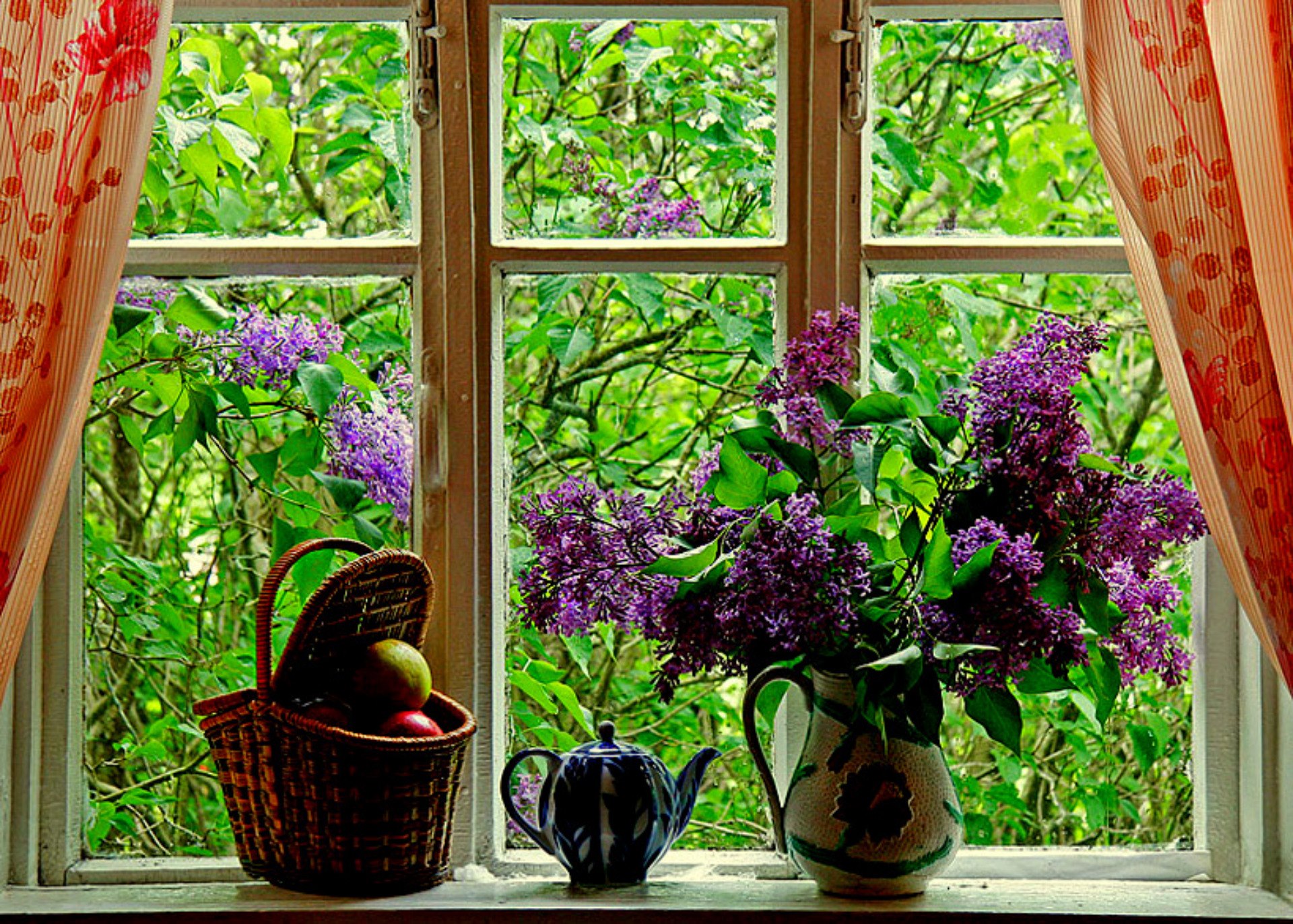 purple flower, basket, photography, still life, flower, lilac, vase, window