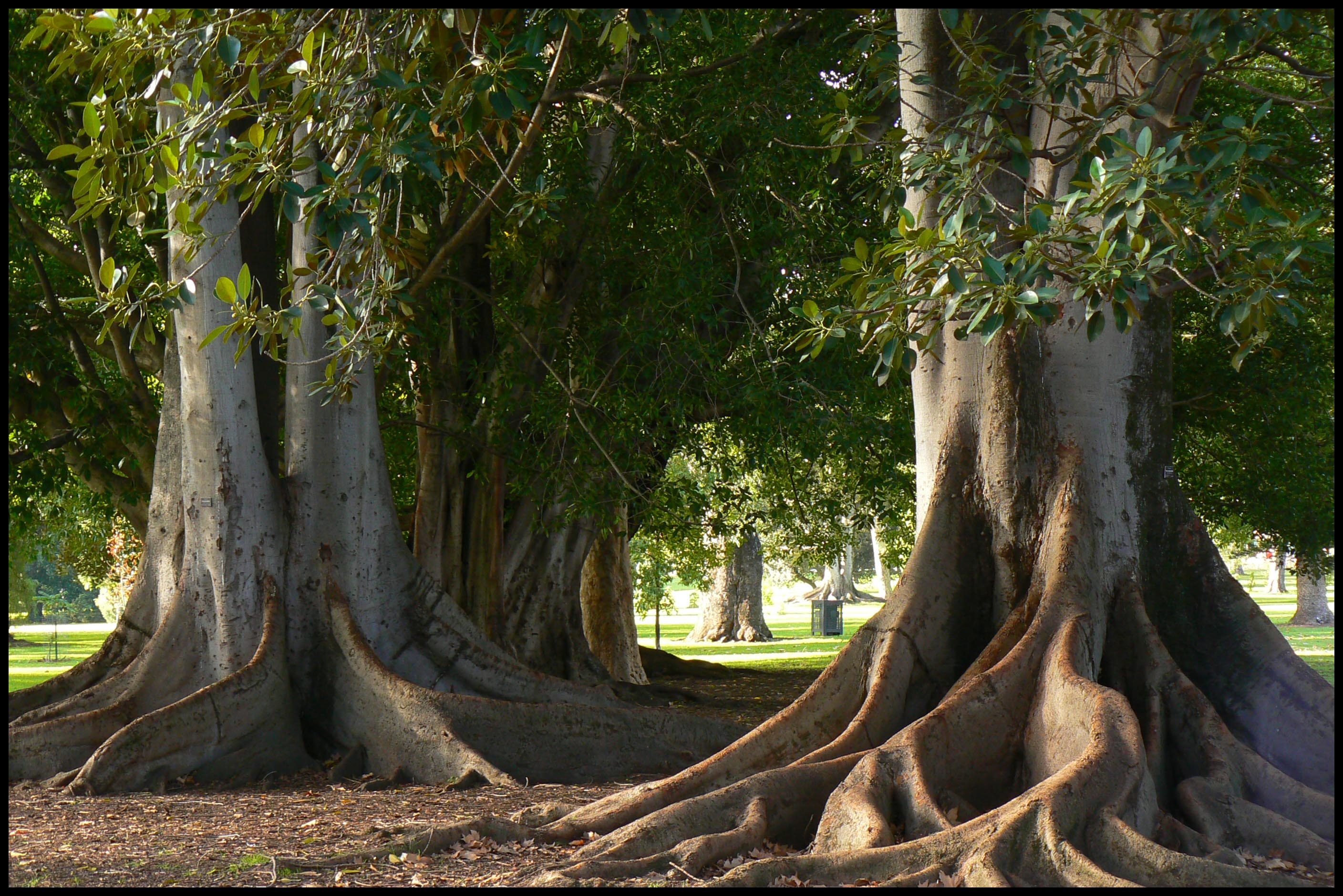 Descarga gratis la imagen Parque, Fotografía en el escritorio de tu PC