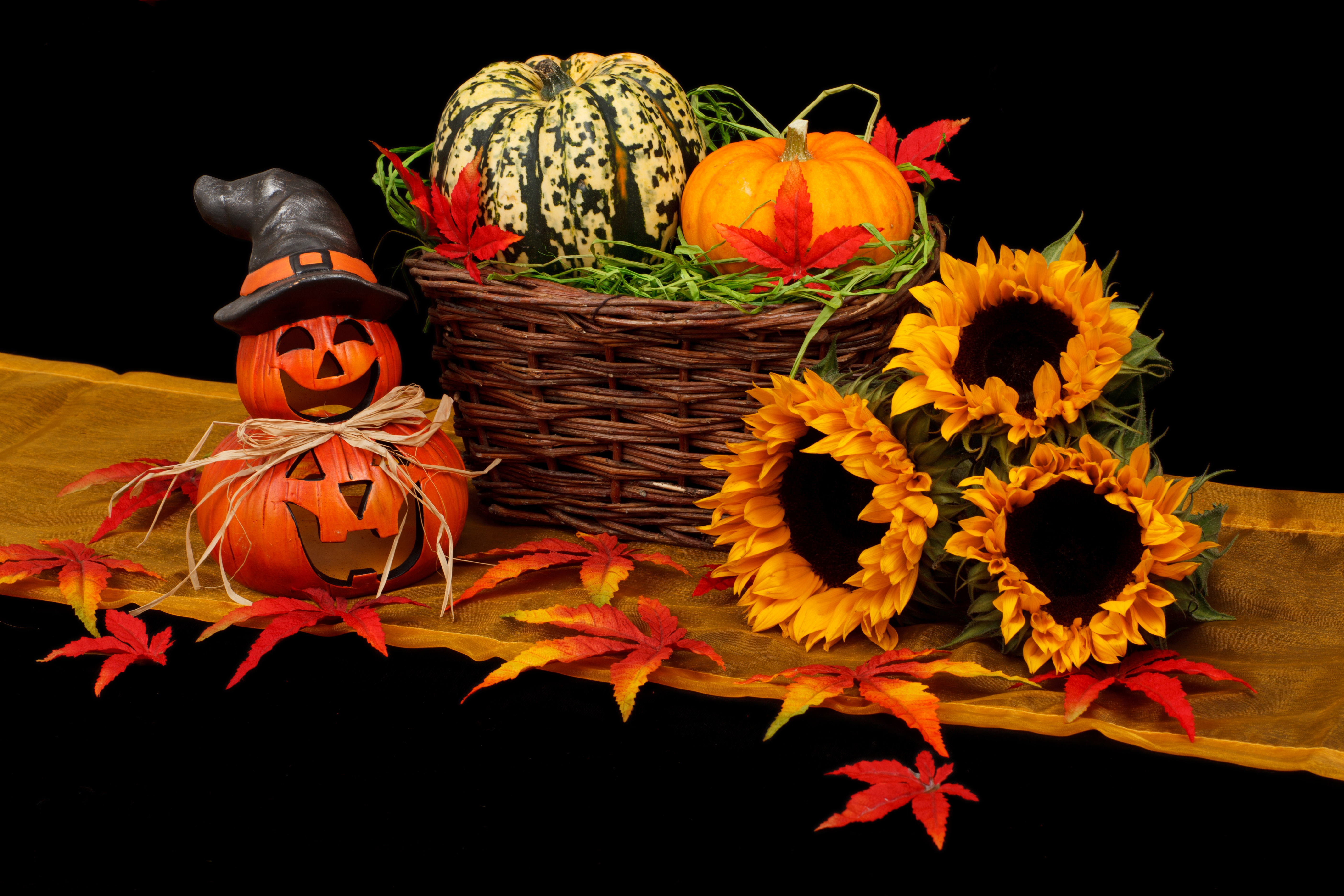 Free download wallpaper Still Life, Leaf, Fall, Basket, Sunflower, Photography, Gourd, Jack O' Lantern on your PC desktop