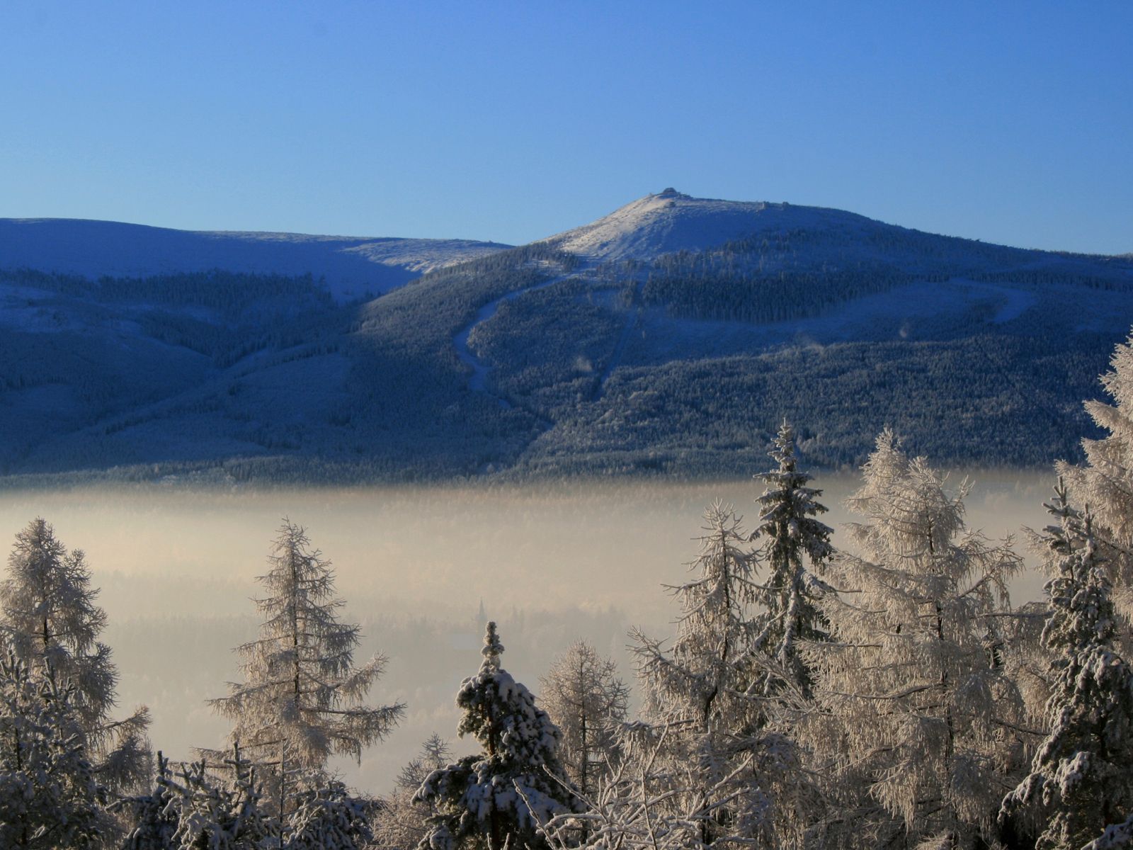 Laden Sie das Natur, Clouds, Berg, Nebel, Höhe, Rauhreif, Aß, Aßen, Bäume, Frost-Bild kostenlos auf Ihren PC-Desktop herunter