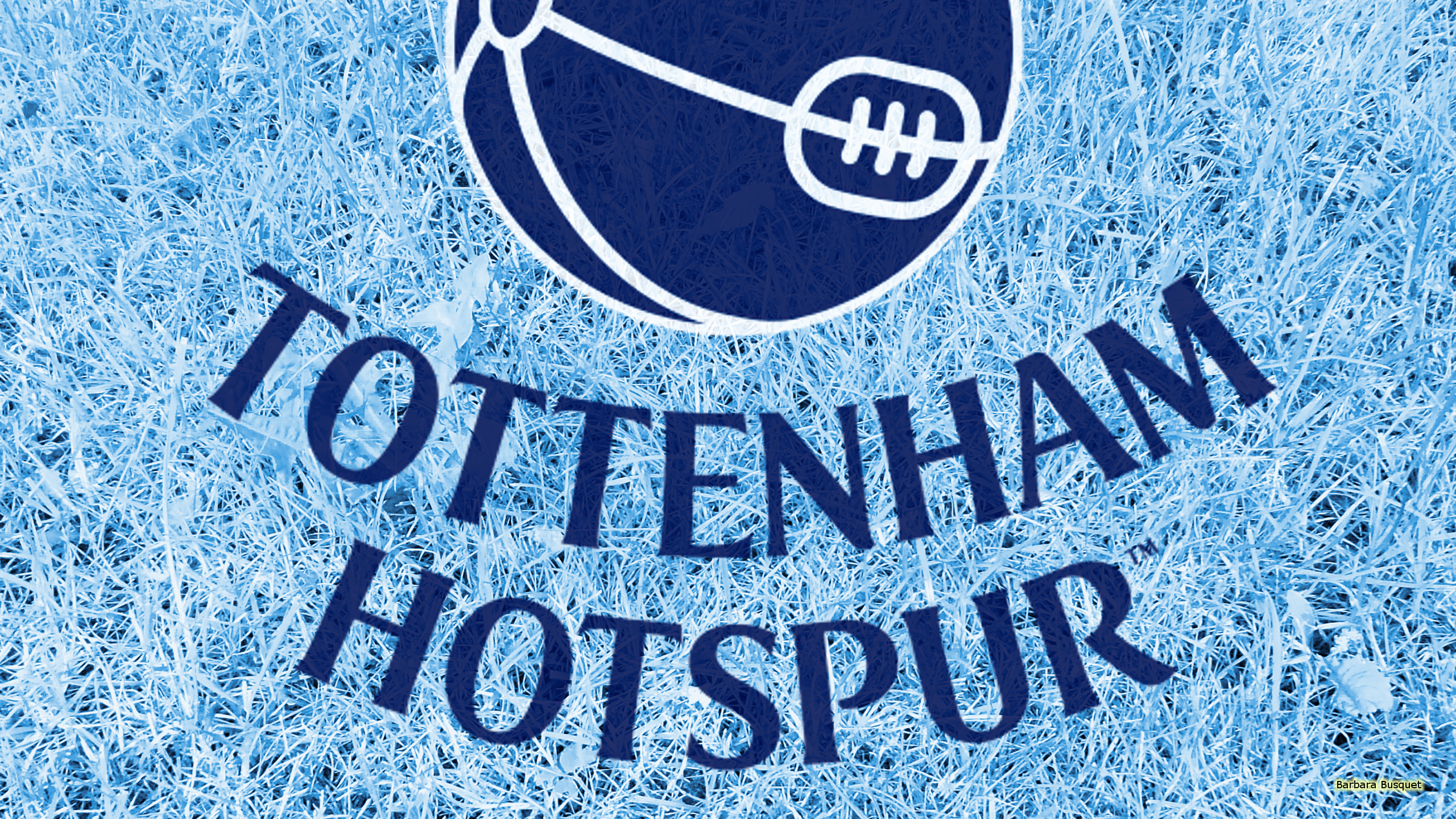 Baixar papel de parede para celular de Esportes, Futebol, Logotipo, Emblema, Tottenham Hotspur Football Club gratuito.