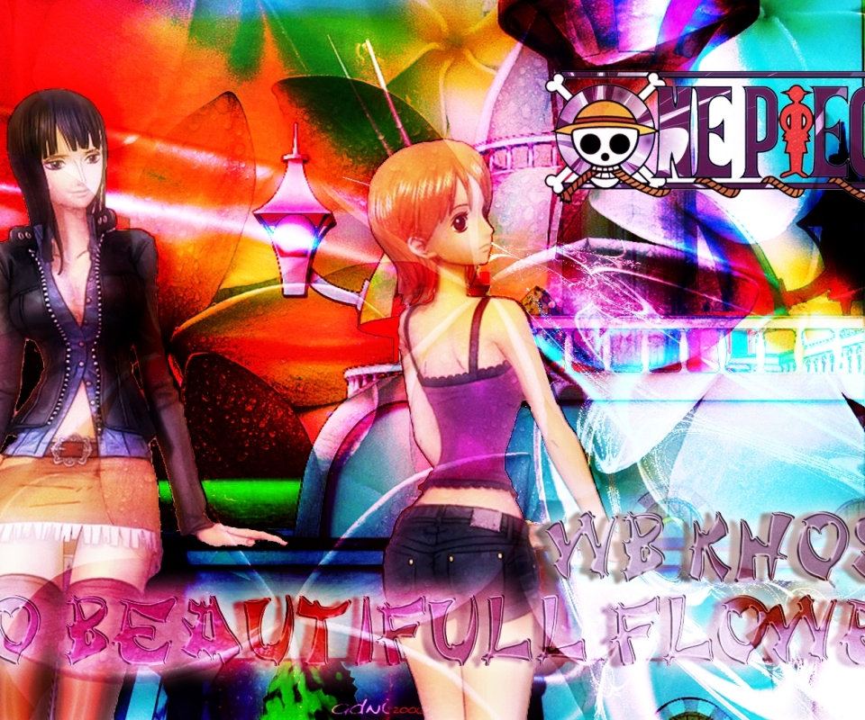 Descarga gratuita de fondo de pantalla para móvil de Flor, Animado, One Piece, Nami (Una Pieza), Nico Robin.