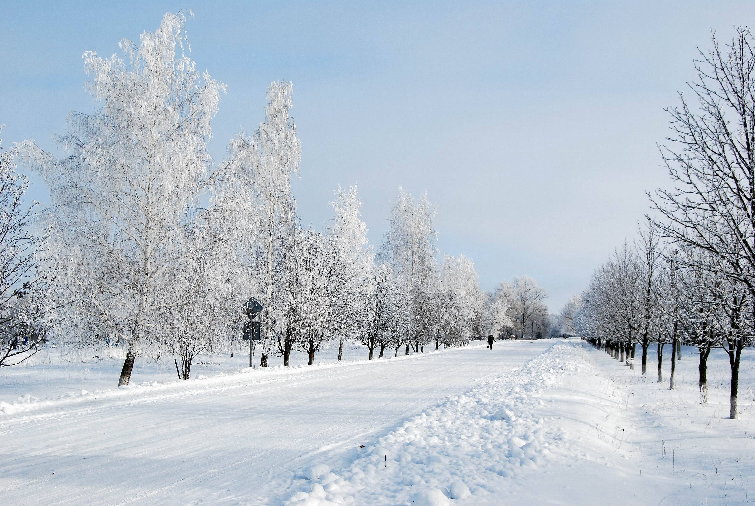 Download mobile wallpaper Trees, Snow, Alley, Road, Winter, Person, Human, Nature for free.