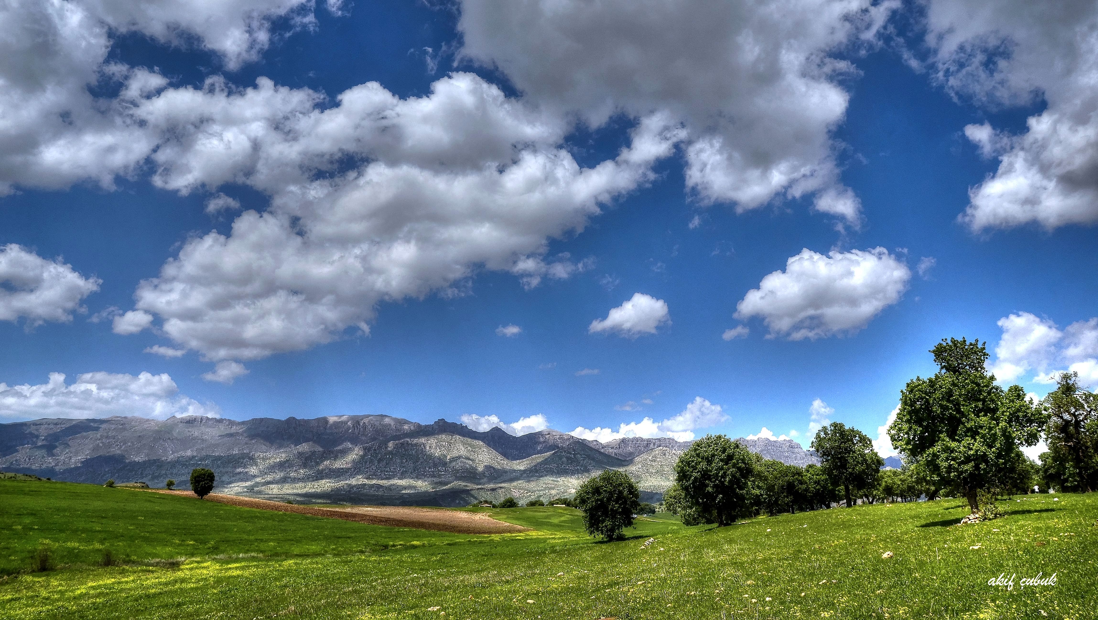 Free download wallpaper Nature, Trees, Mountains, Field, Landscape on your PC desktop