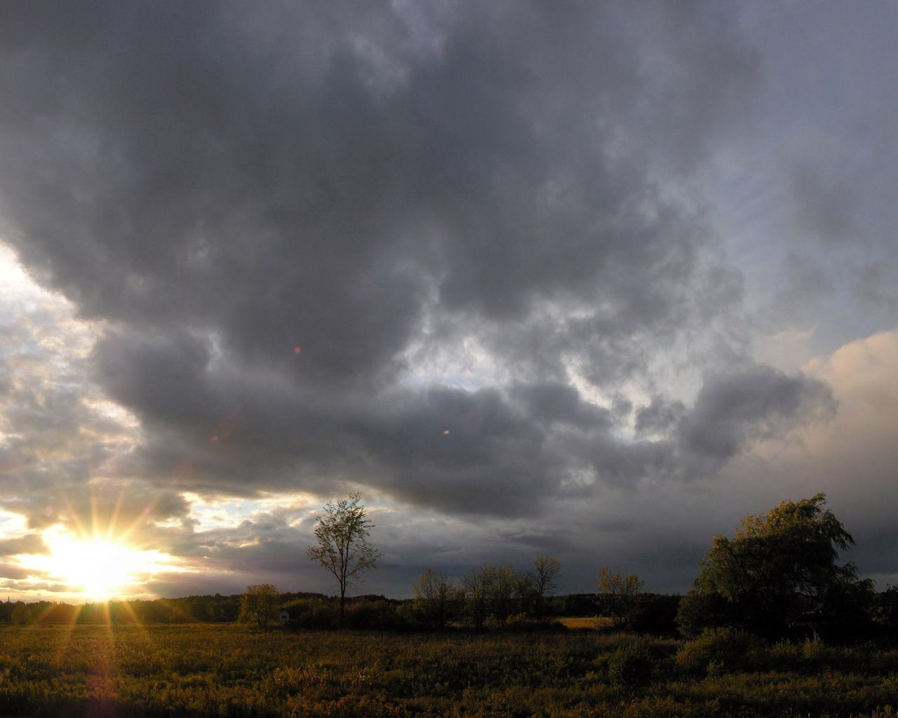 Download mobile wallpaper Field, Clouds, Sun Rays, Trees, Sunlight, Nature, Dawn for free.