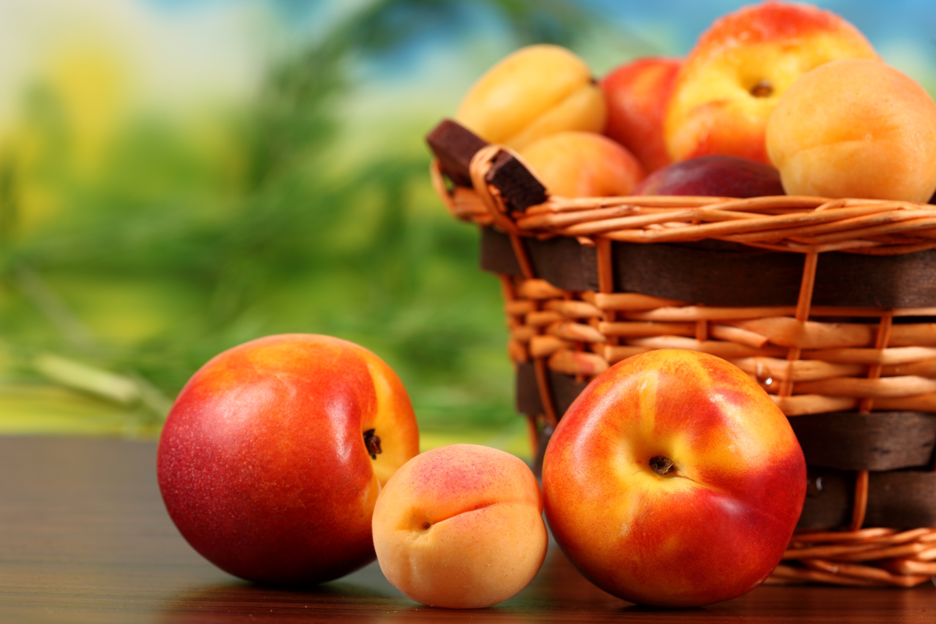 111845 скачать картинку еда, персики, фрукты, корзина, абрикосы, нектарин - обои и заставки бесплатно