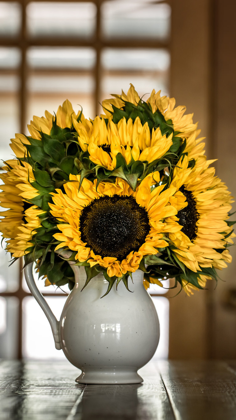 Download mobile wallpaper Still Life, Sunflower, Photography, Yellow Flower, Pitcher for free.