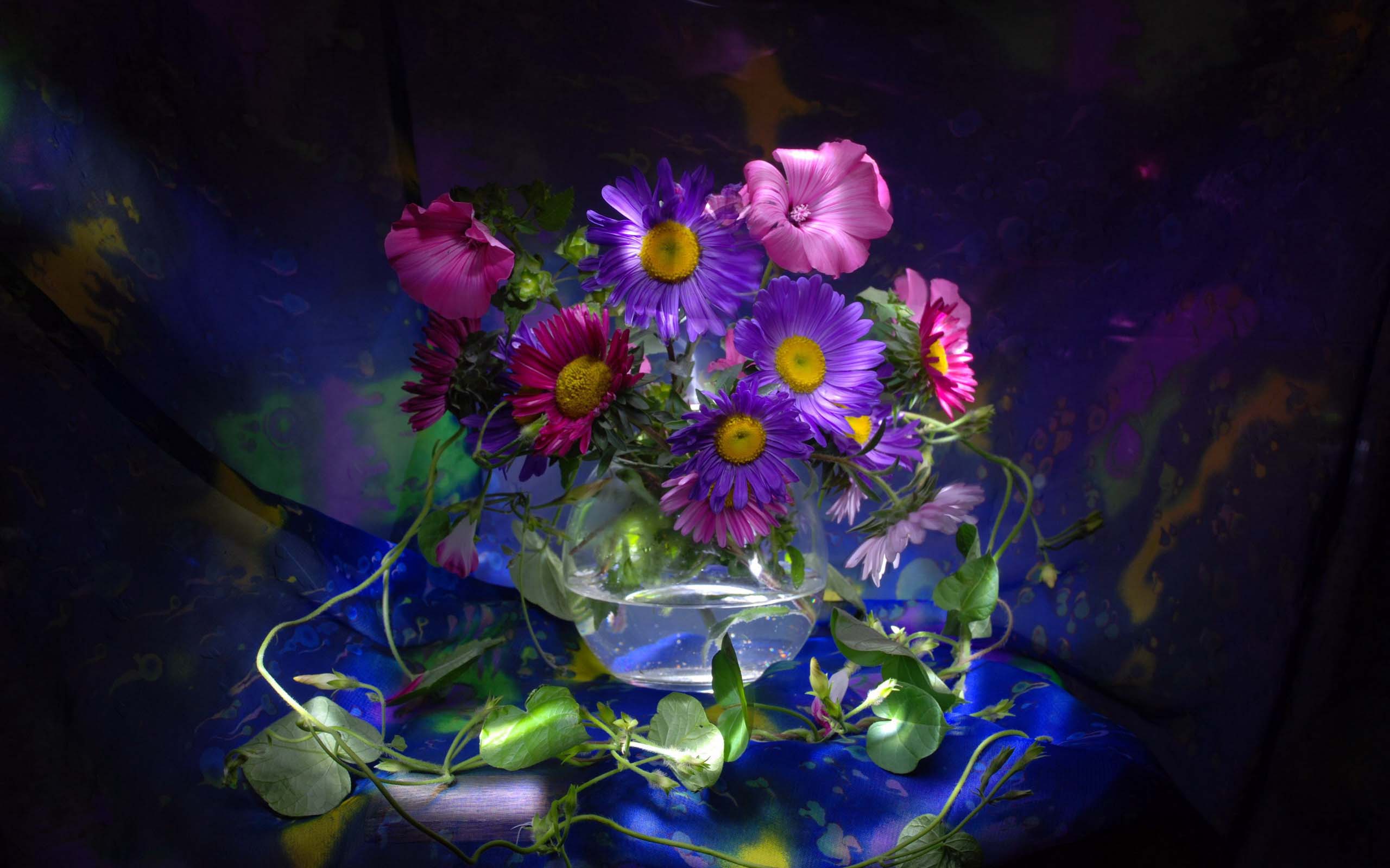 PCデスクトップに静物, 花, 光, 花瓶, 写真撮影, ピンクの花, 紫色の花画像を無料でダウンロード