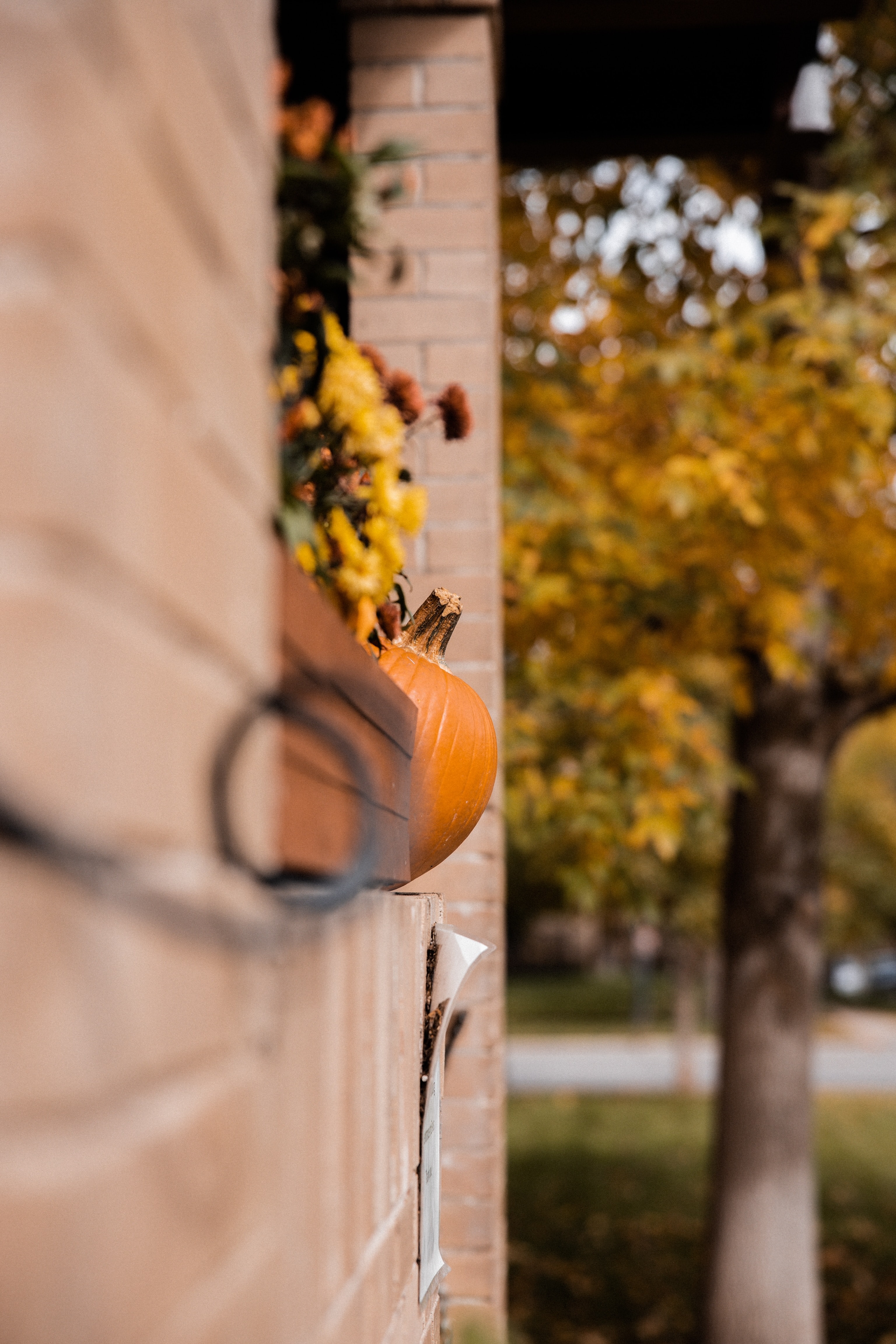 Handy-Wallpaper Gebäude, Verschiedenes, Sonstige, Herbst, Kürbis, Halloween kostenlos herunterladen.