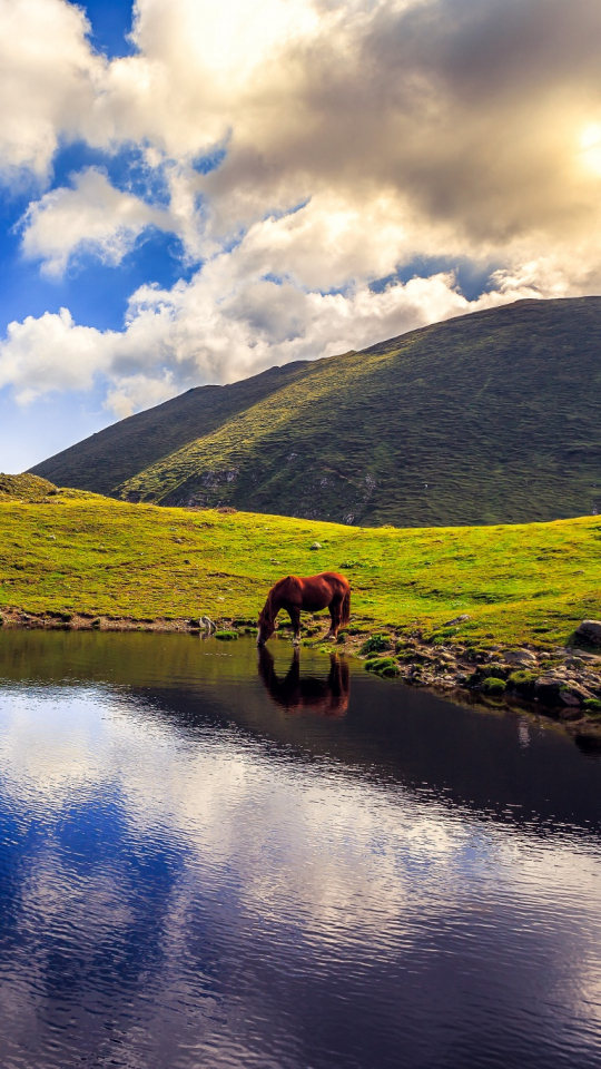 Download mobile wallpaper Nature, Lakes, Mountain, Lake, Reflection, Earth, Cloud, Horse for free.