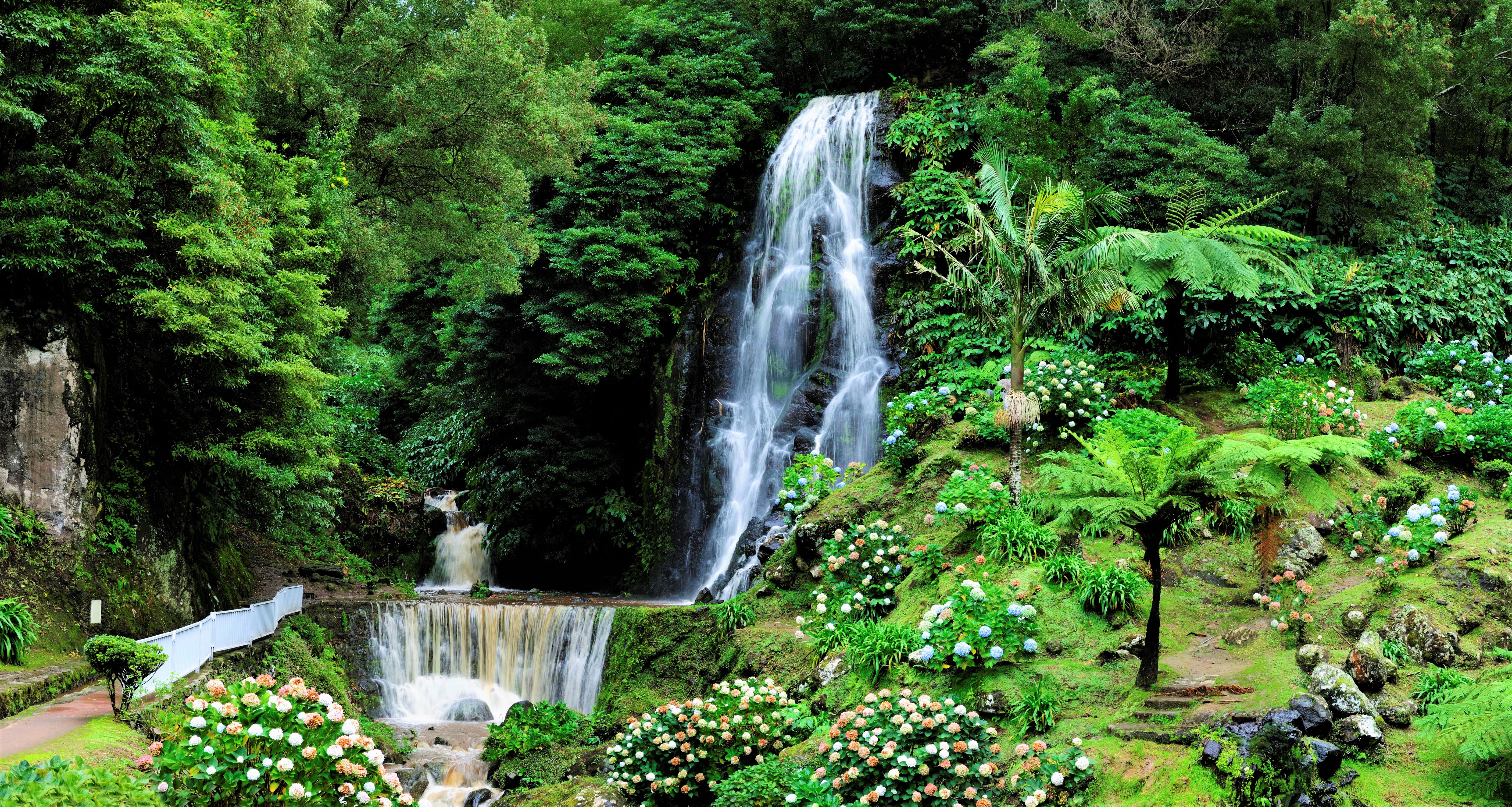 428445 baixar imagens terra/natureza, cachoeira, flor, jardim, parque, portugal, primavera, cachoeiras - papéis de parede e protetores de tela gratuitamente