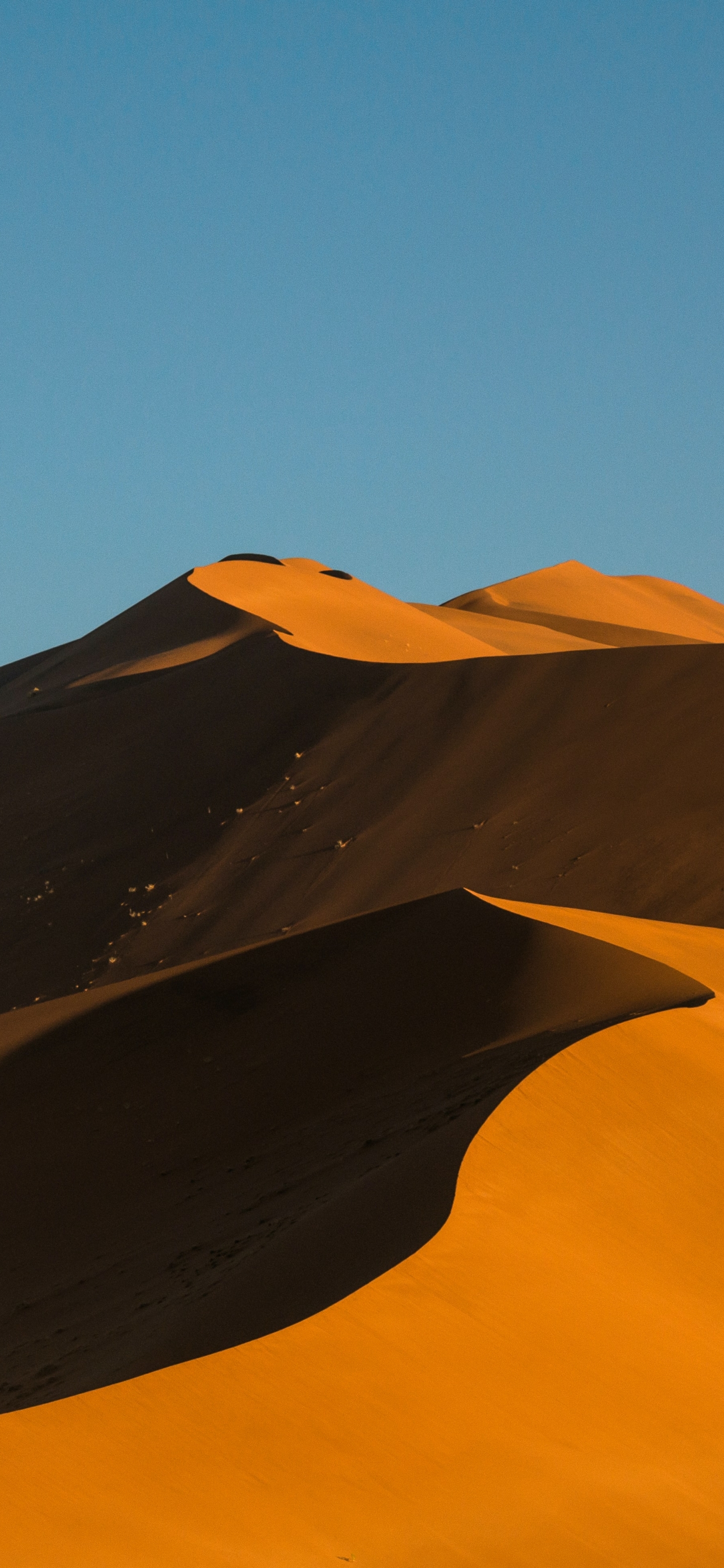 Скачать обои Пустыня Намиб на телефон бесплатно