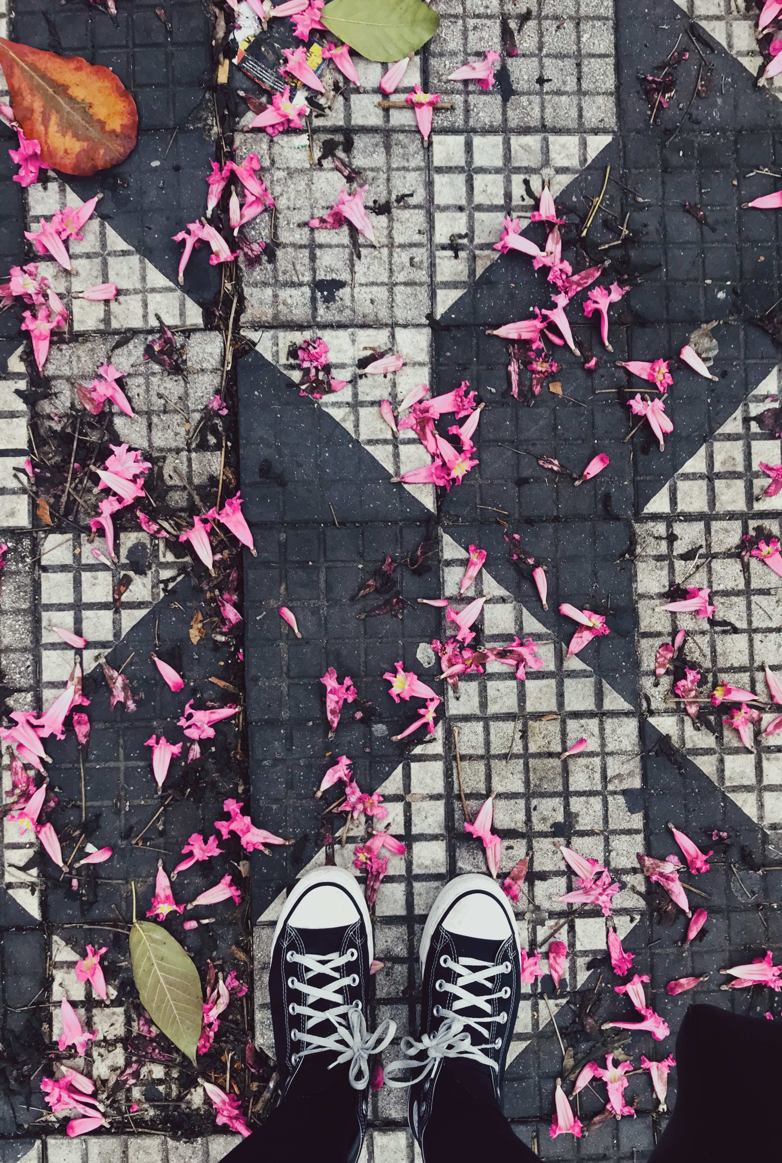 Download mobile wallpaper Miscellanea, Miscellaneous, Leaves, Sneakers, Legs, Shoes, Flowers for free.