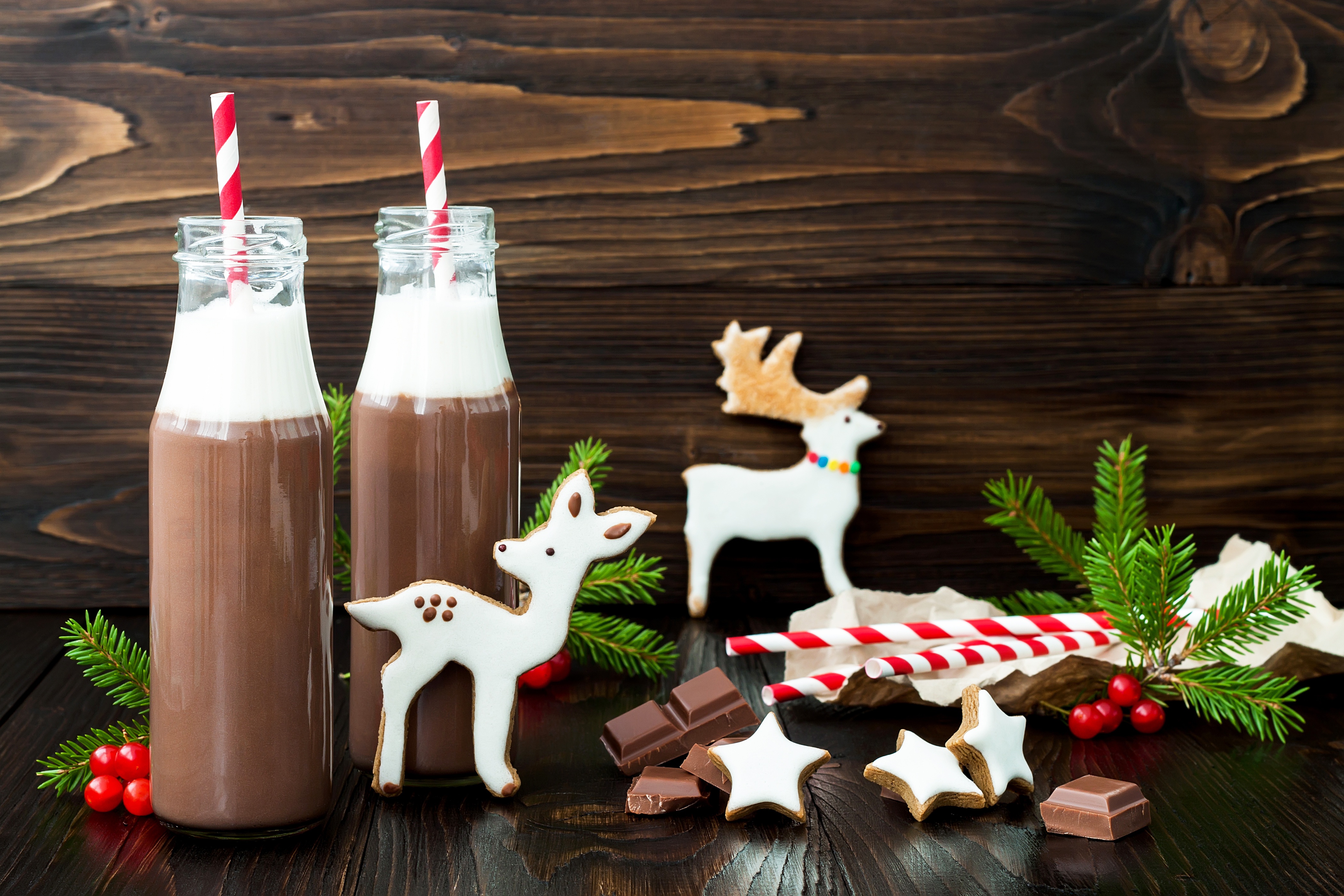 PCデスクトップにチョコレート, クリスマス, 鹿, クッキー, 飲む, ホリデー画像を無料でダウンロード
