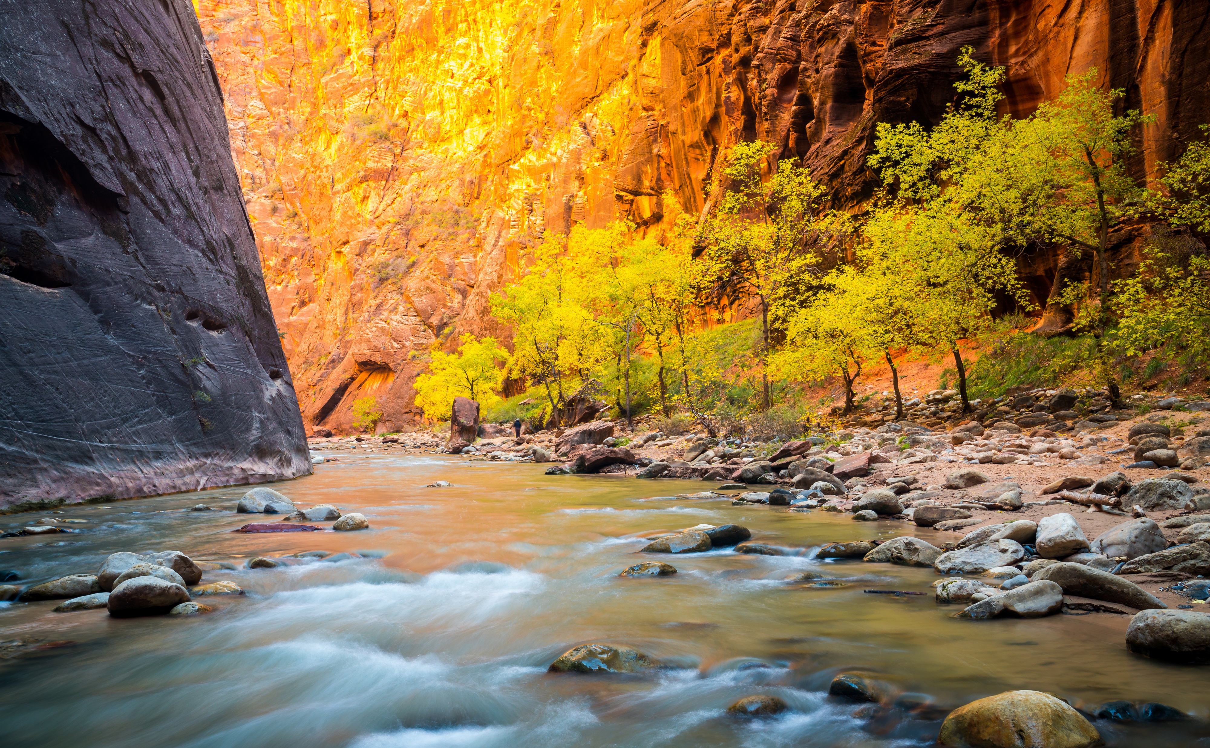 Free download wallpaper Nature, Canyon, Tree, Earth, Stone, Canyons, River on your PC desktop