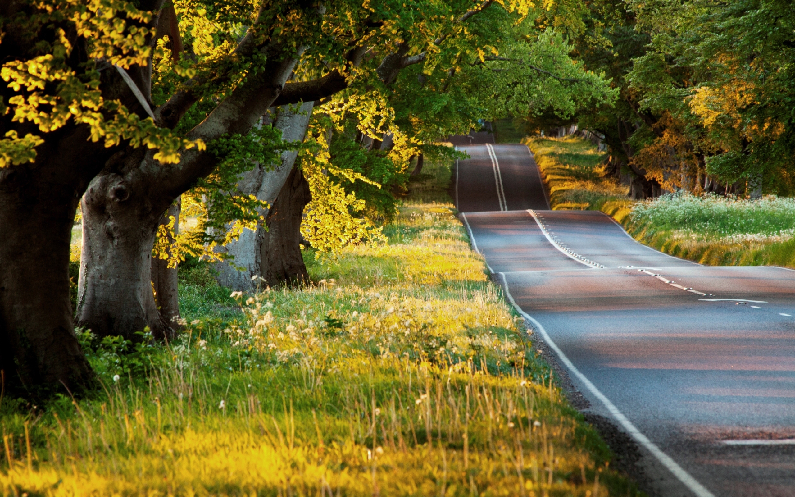 Descarga gratuita de fondo de pantalla para móvil de Carretera, Hecho Por El Hombre.