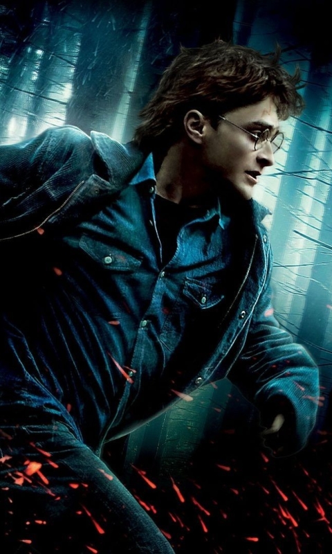 Download mobile wallpaper Harry Potter, Daniel Radcliffe, Movie, Harry Potter And The Deathly Hallows: Part 1 for free.