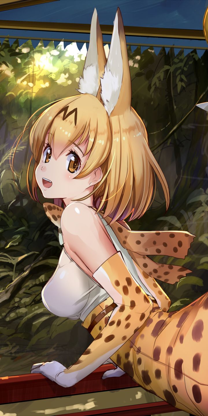 Descarga gratuita de fondo de pantalla para móvil de Animado, Serval (Amigos Kemono), Kemono Friends.