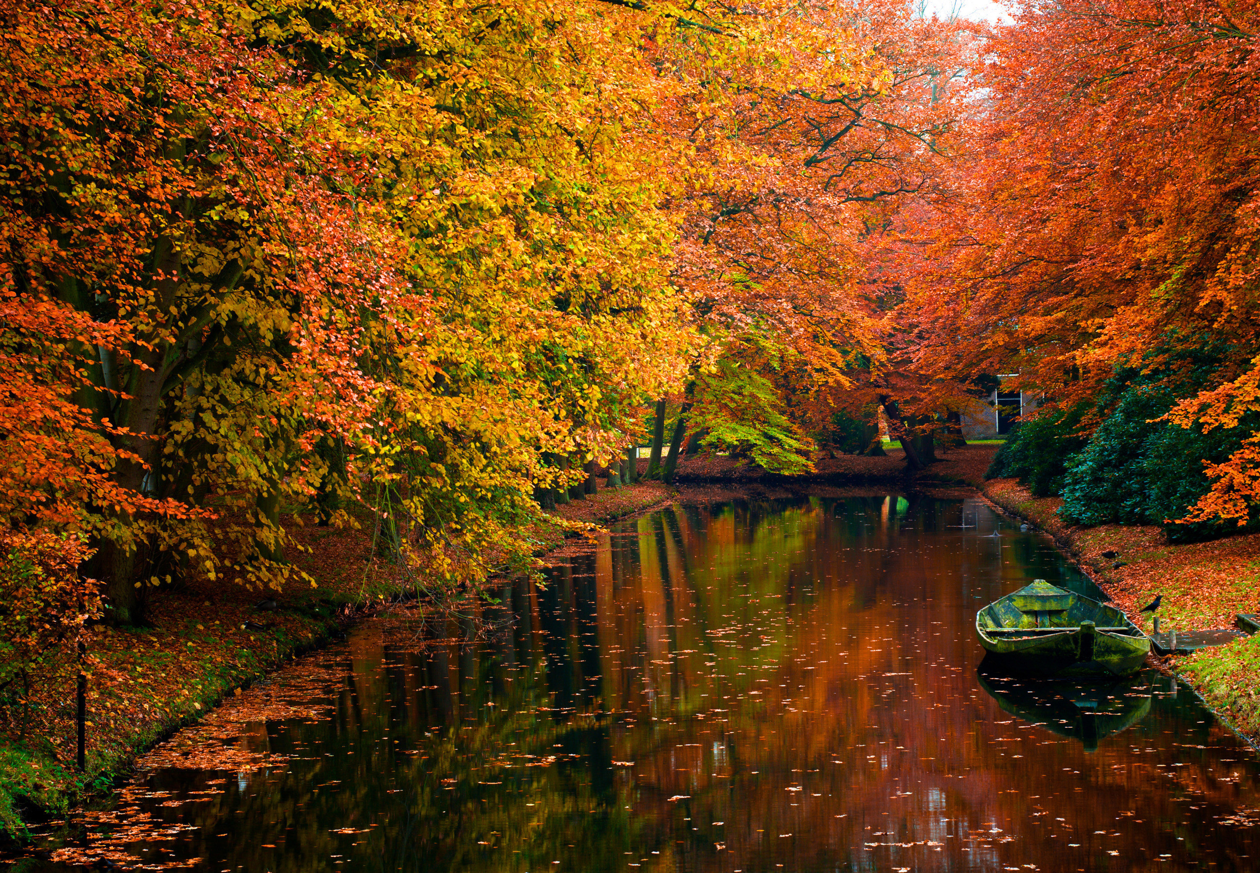 Скачать картинку Деревья, Пейзаж, Лодки, Река, Осень в телефон бесплатно.