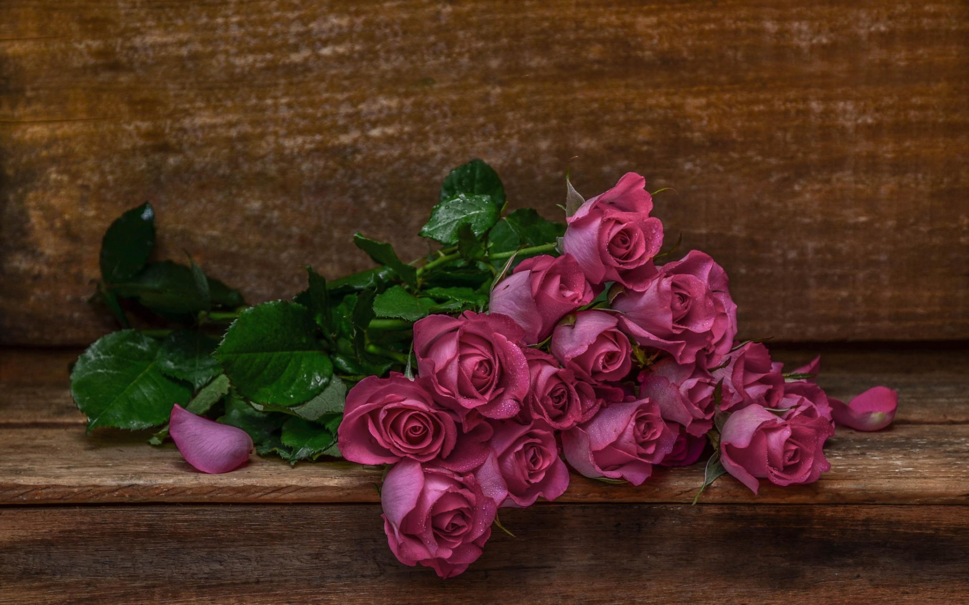 Téléchargez gratuitement l'image Fleurs, Rose, Terre/nature sur le bureau de votre PC