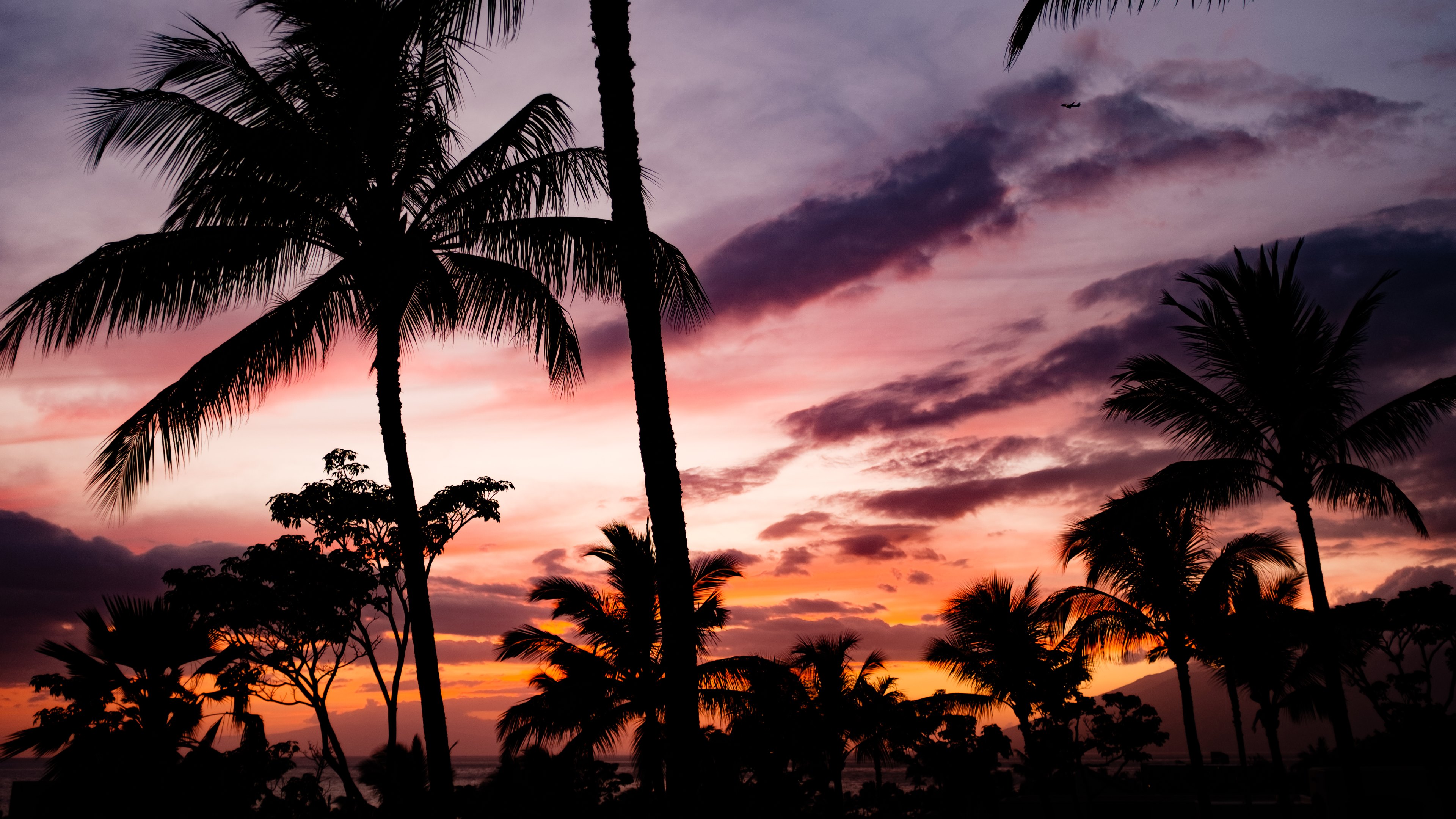 Free download wallpaper Sunset, Sky, Sunrise, Earth, Tropical, Cloud, Palm Tree on your PC desktop
