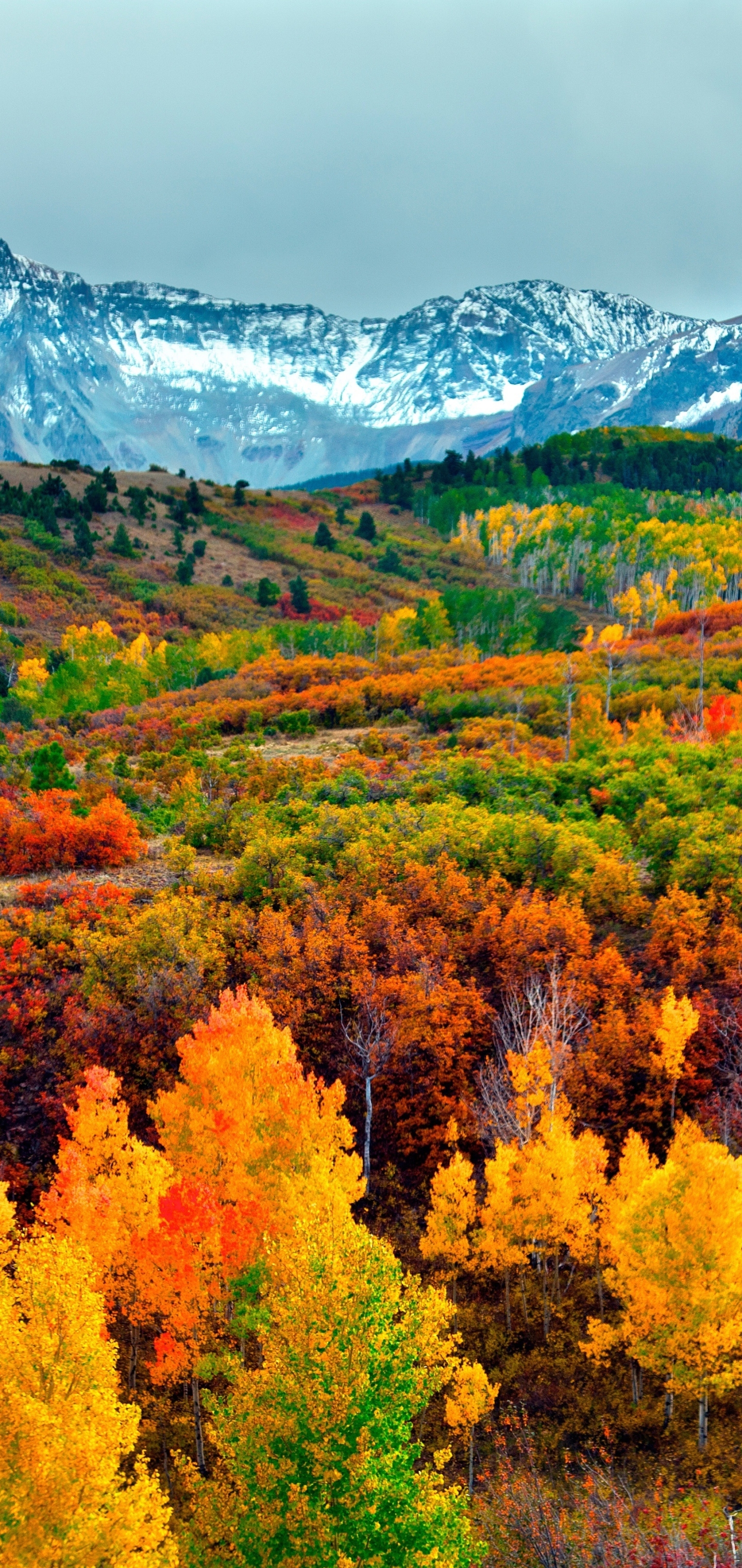 Handy-Wallpaper Landschaft, Herbst, Berg, Wald, Gebirge, Erde/natur kostenlos herunterladen.