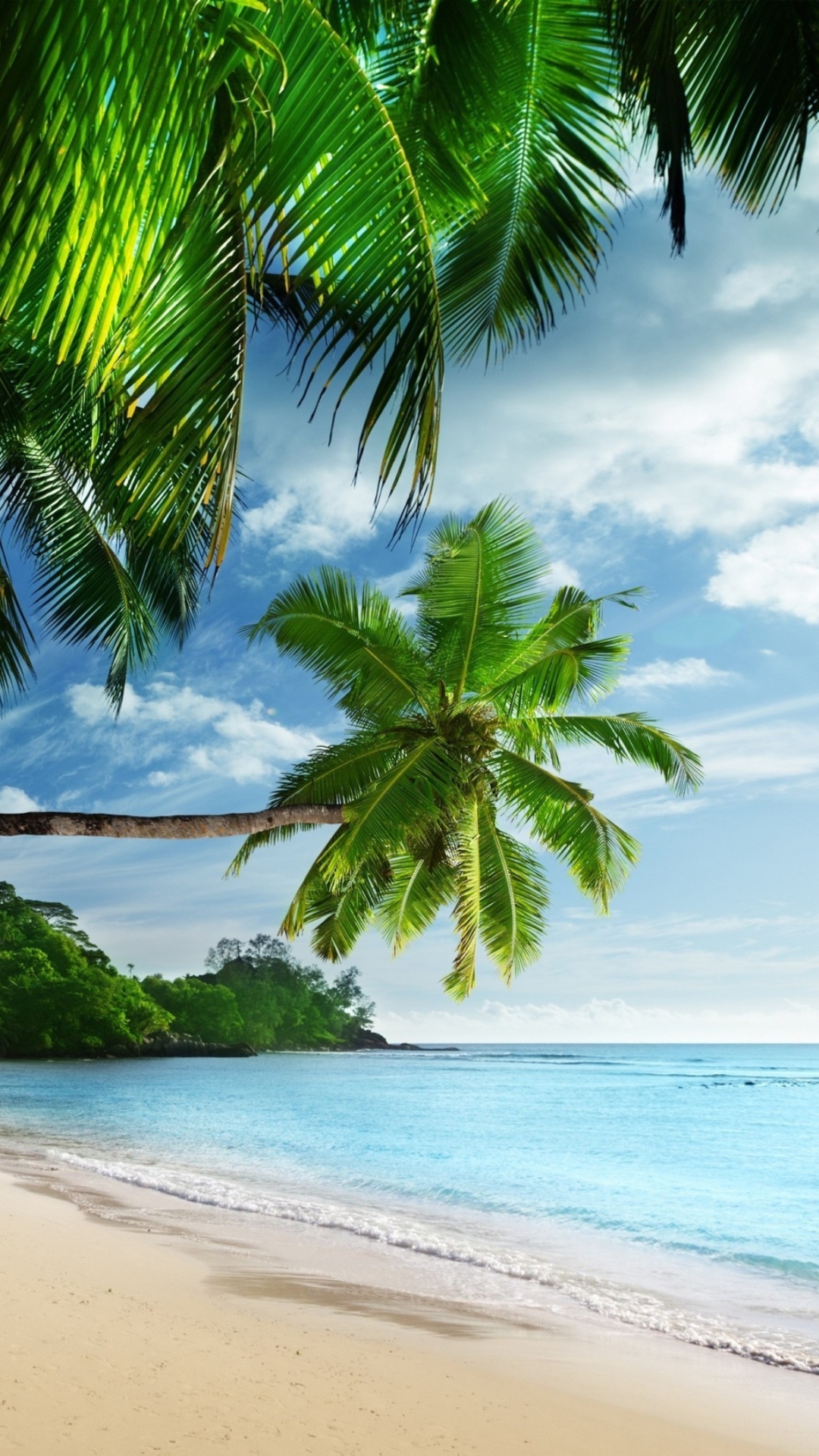 Descarga gratuita de fondo de pantalla para móvil de Mar, Playa, Costa, Océano, Tierra/naturaleza, Palmera, Tropico, Orilla Del Mar.