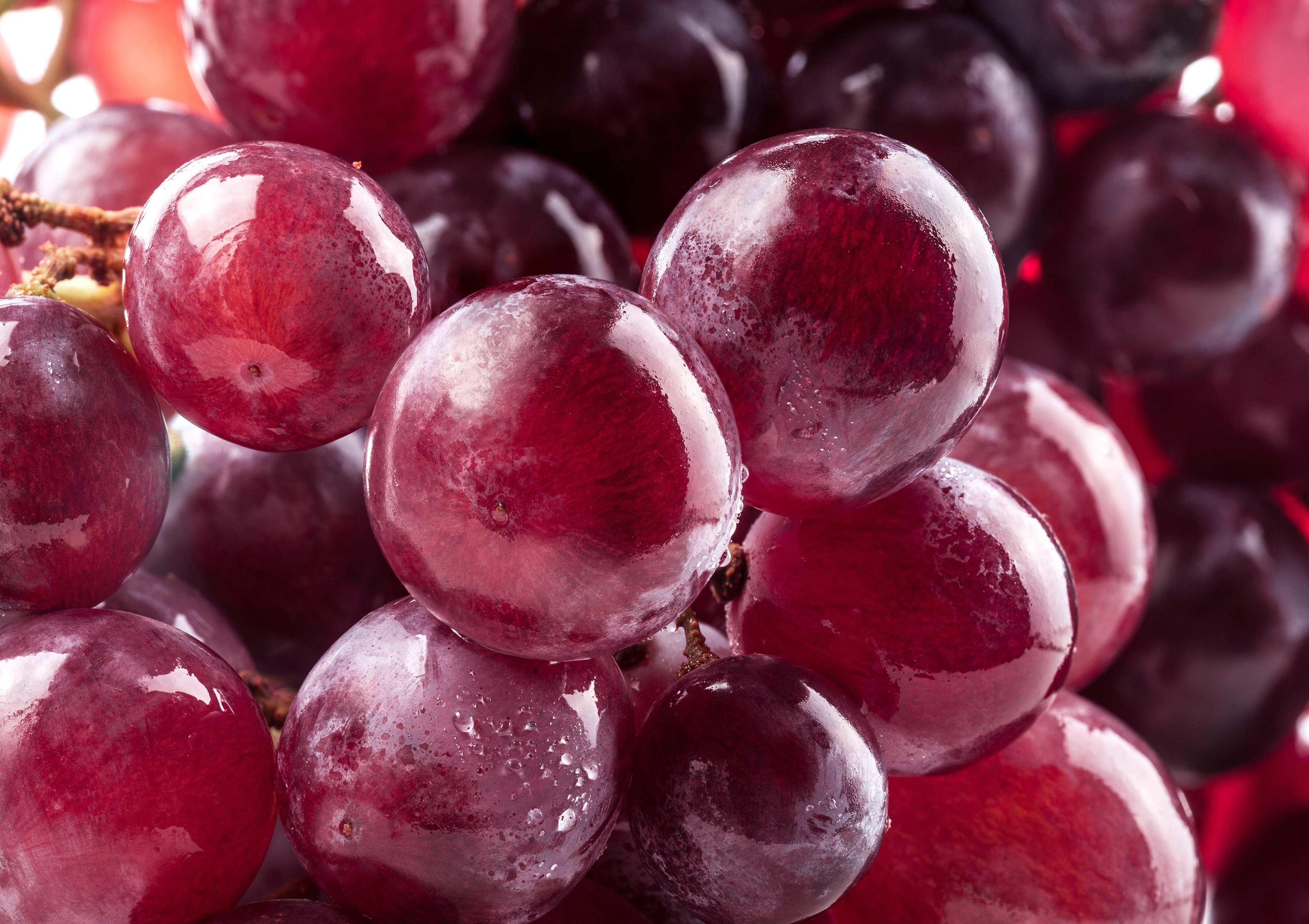grapes, berries, macro, ripe 4K, Ultra HD