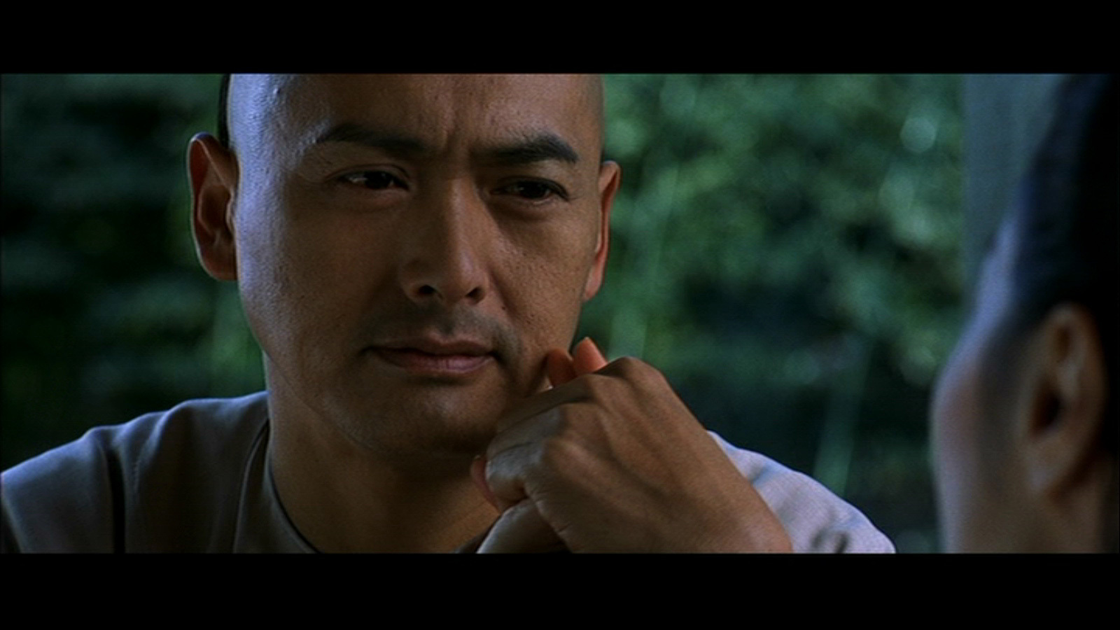 movie, crouching tiger hidden dragon