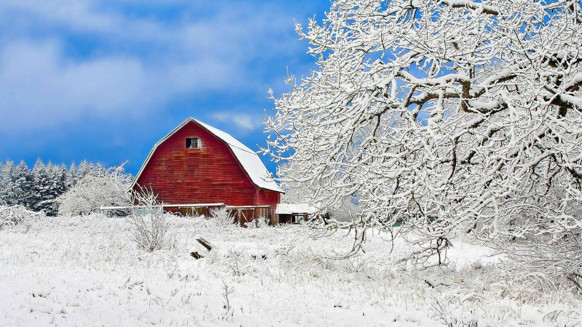Laden Sie das Gebäude, Sky, Natur, Bäume, Schnee-Bild kostenlos auf Ihren PC-Desktop herunter