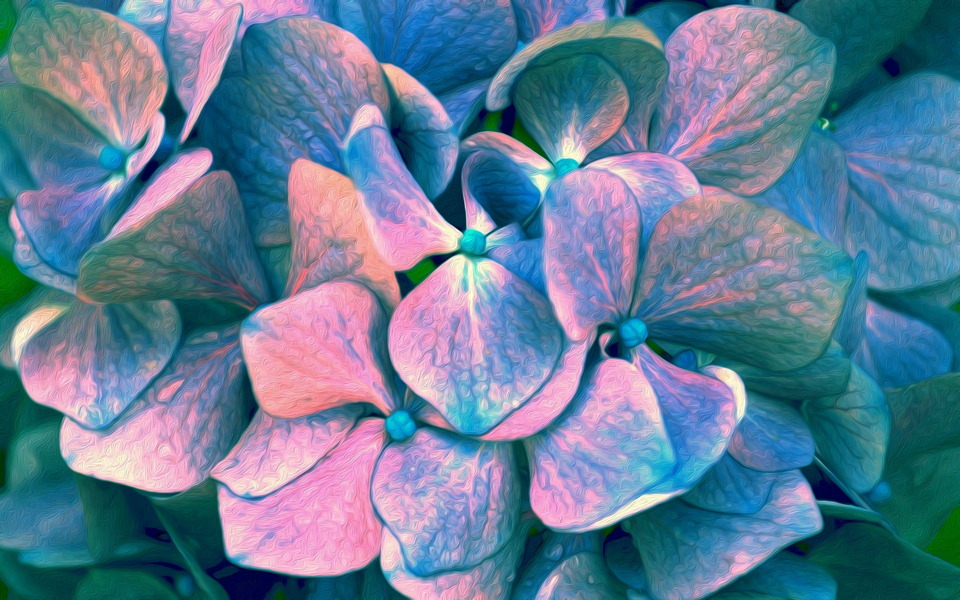 Free download wallpaper Flowers, Flower, Earth, Hydrangea, Oil Painting on your PC desktop