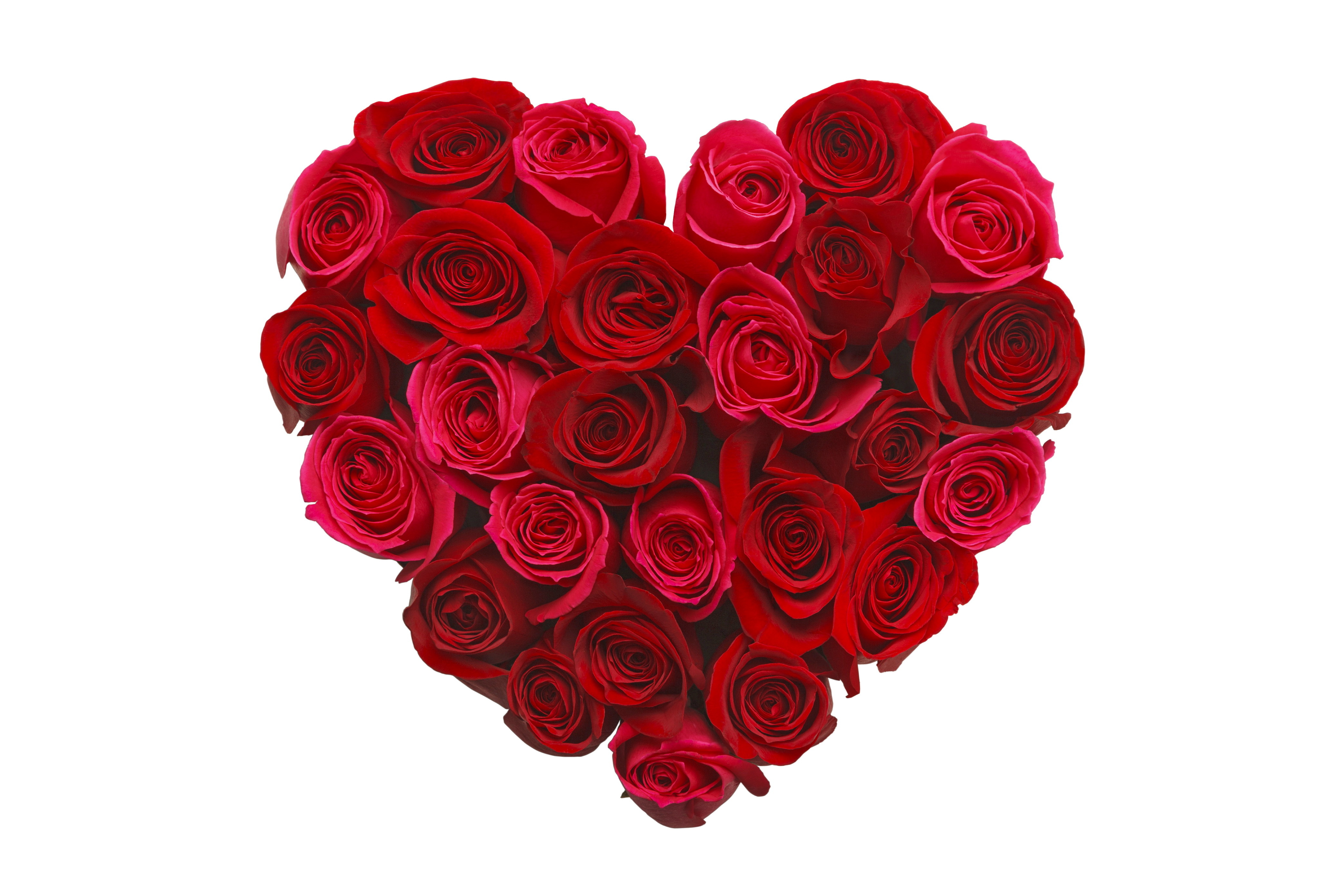 Descarga gratuita de fondo de pantalla para móvil de Rosa, Flor, Corazón, Artístico, Romántico, Parejas, Flor Roja.