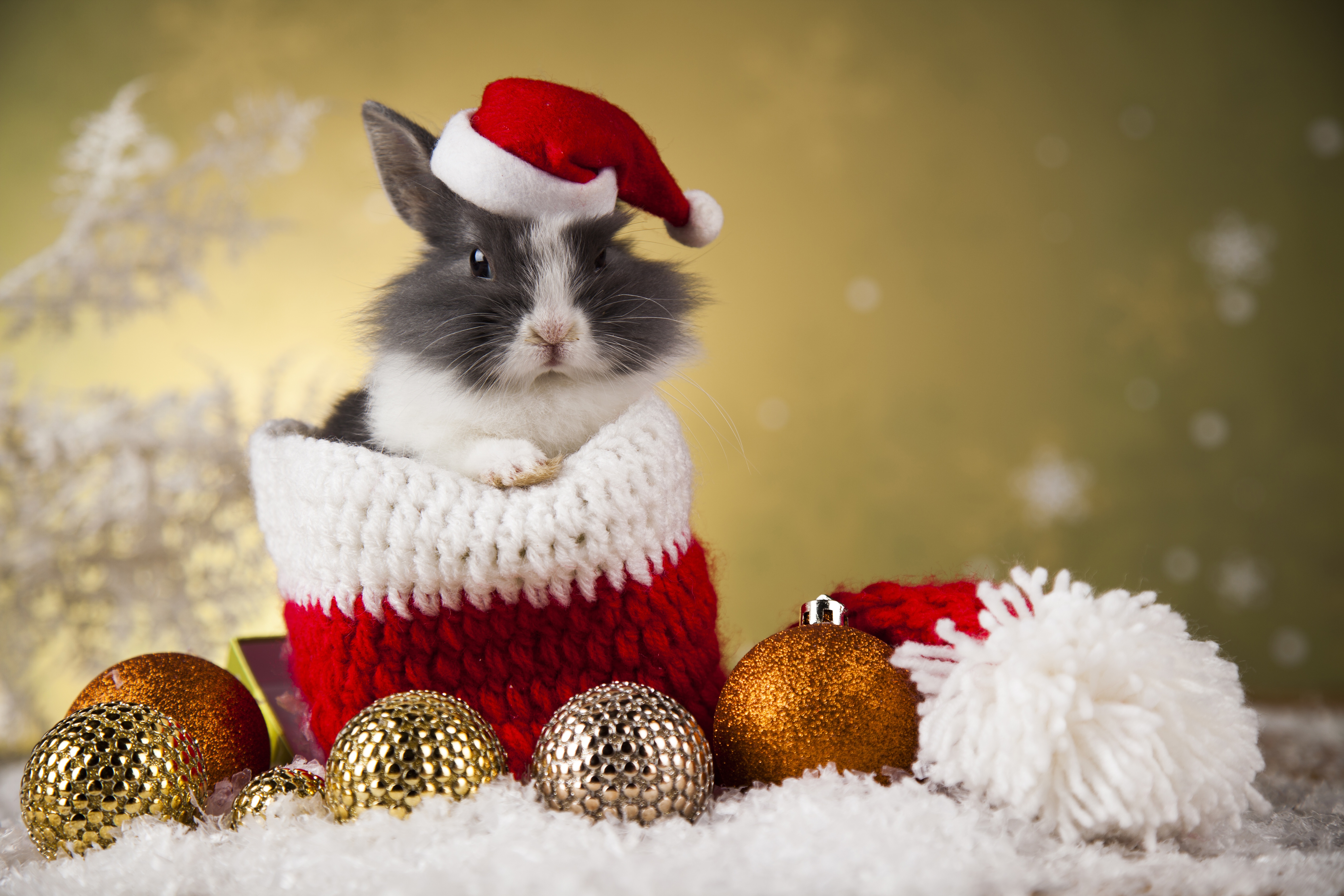 Free download wallpaper Christmas, Animal, Rabbit, Bauble, Santa Hat on your PC desktop