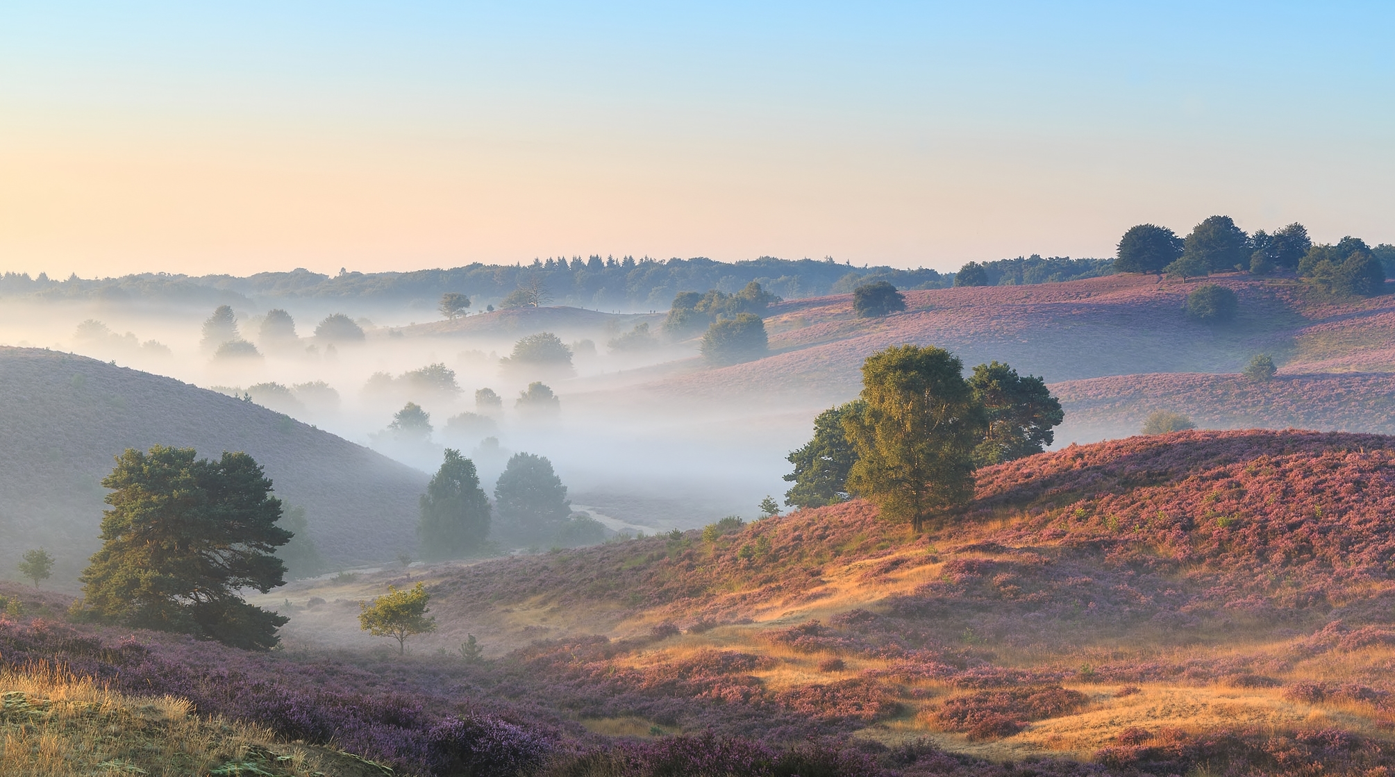 Téléchargez gratuitement l'image Paysage, Terre/nature sur le bureau de votre PC