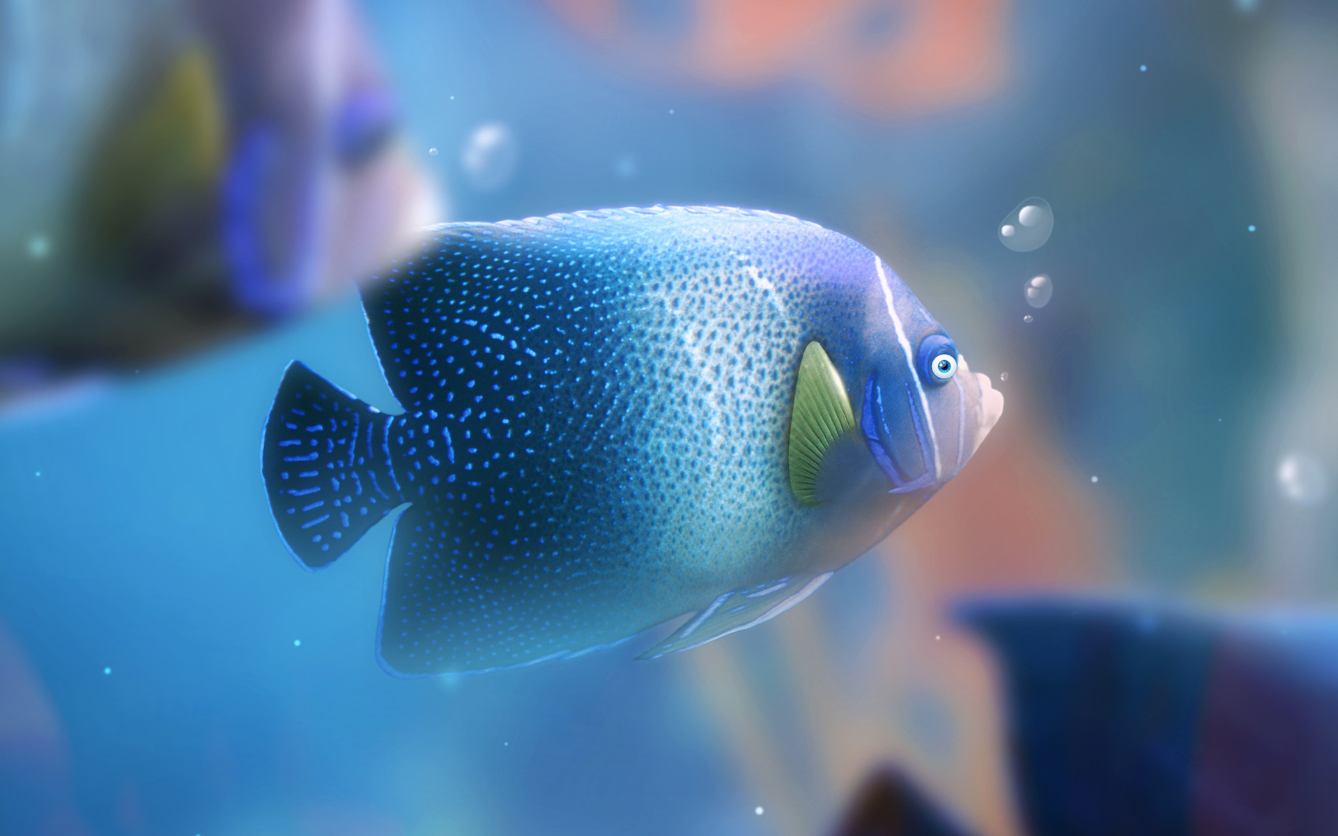 Laden Sie das Tiere, Fische, Fisch-Bild kostenlos auf Ihren PC-Desktop herunter