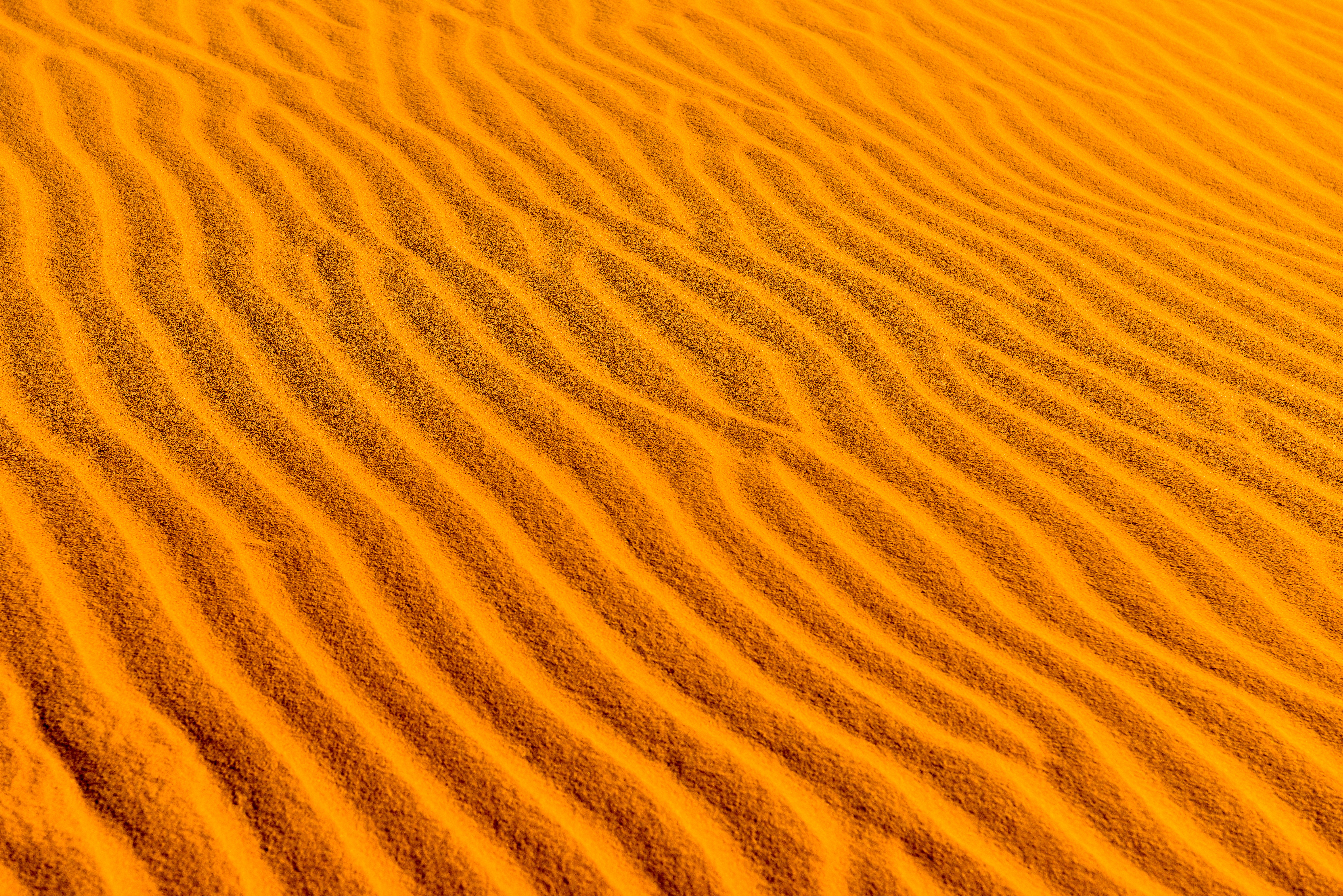 wavy, texture, sand, desert, textures Free Stock Photo