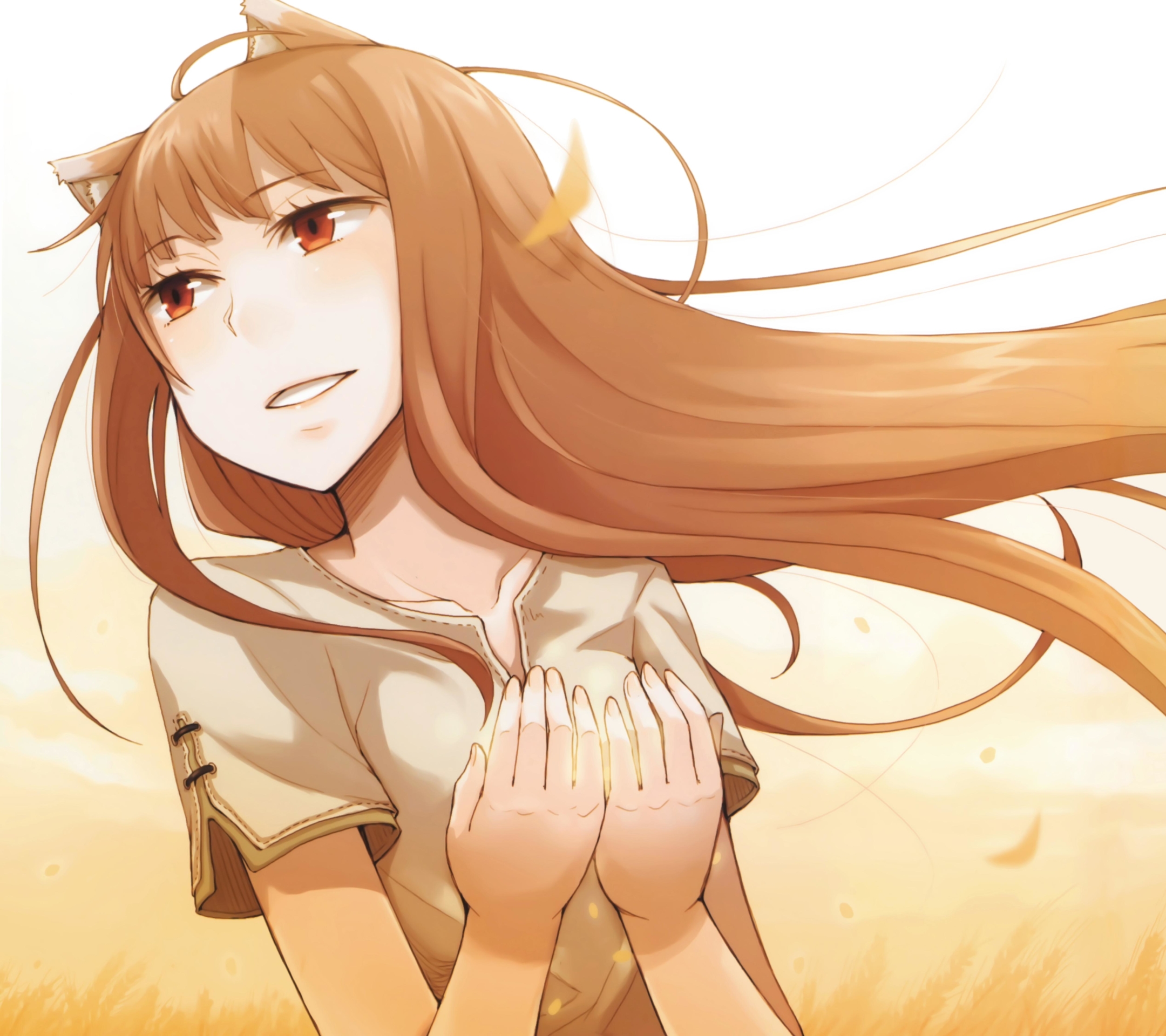 Download mobile wallpaper Anime, Spice And Wolf for free.