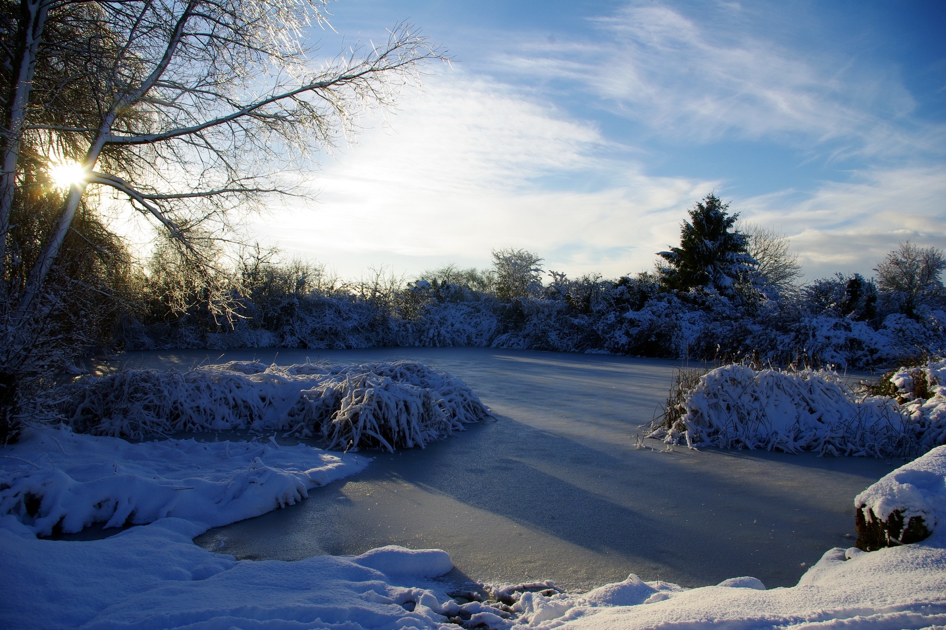 winter, nature, sky, ice, lake, shine, light, france, morning, frost, hoarfrost