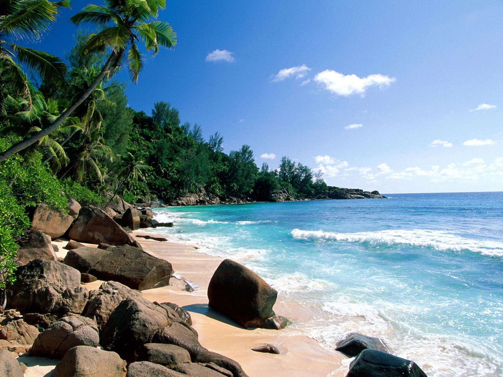 Скачати мобільні шпалери Море, Пальми, Пейзаж, Вода, Пляж безкоштовно.
