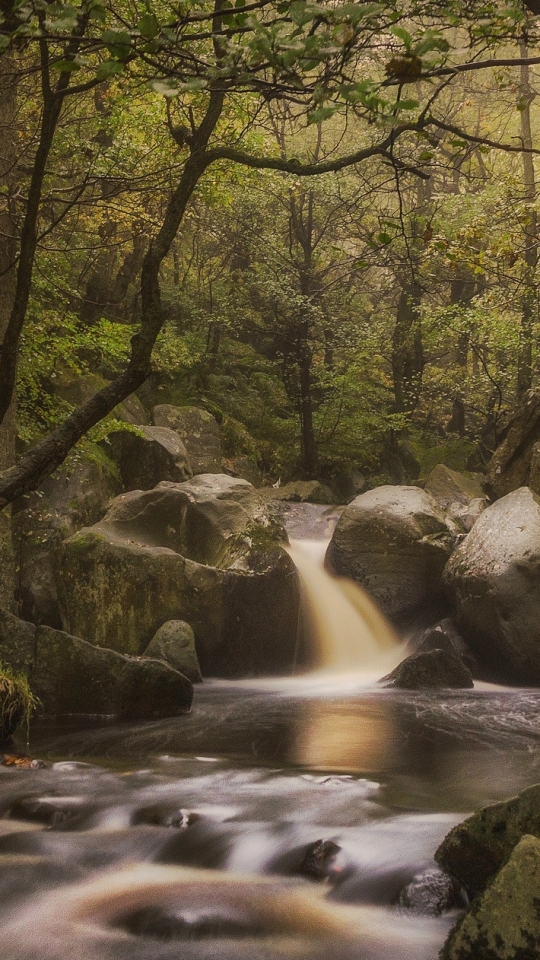 Descarga gratuita de fondo de pantalla para móvil de Naturaleza, Bosque, Árbol, Chorro, Tierra/naturaleza.