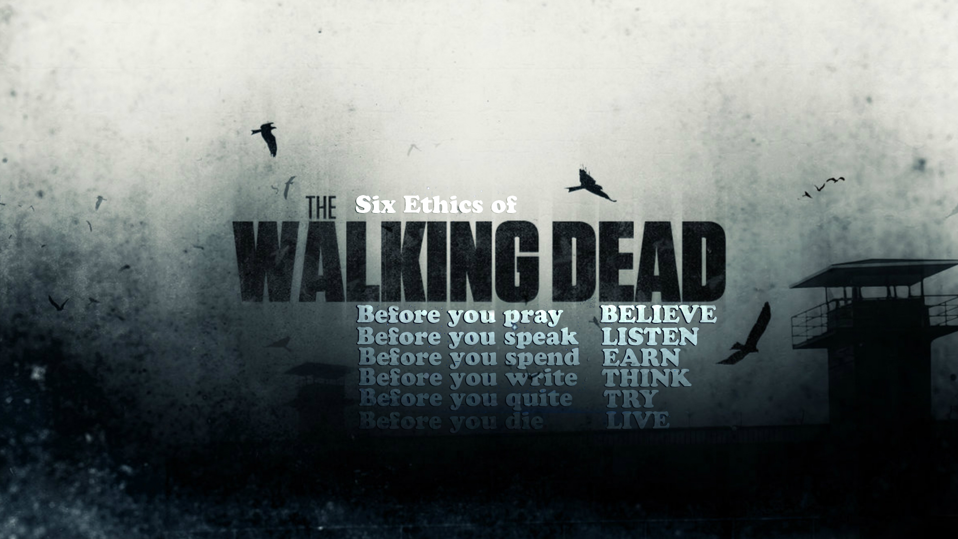 Free download wallpaper Tv Show, The Walking Dead on your PC desktop