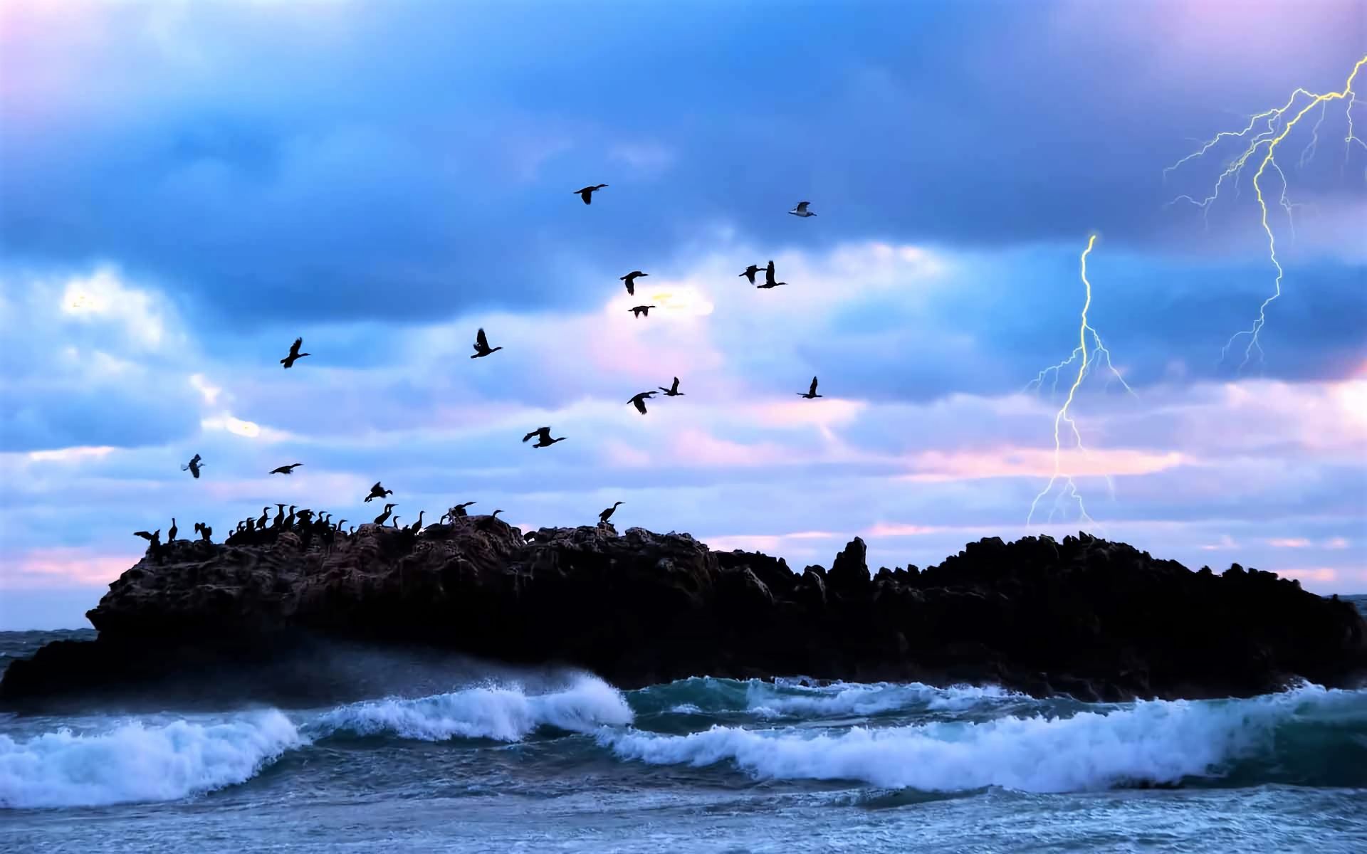 Téléchargez gratuitement l'image Coucher De Soleil, Mer, Plage, Oiseau, Océan, Terre, Photographie, Ciel, Eclair sur le bureau de votre PC