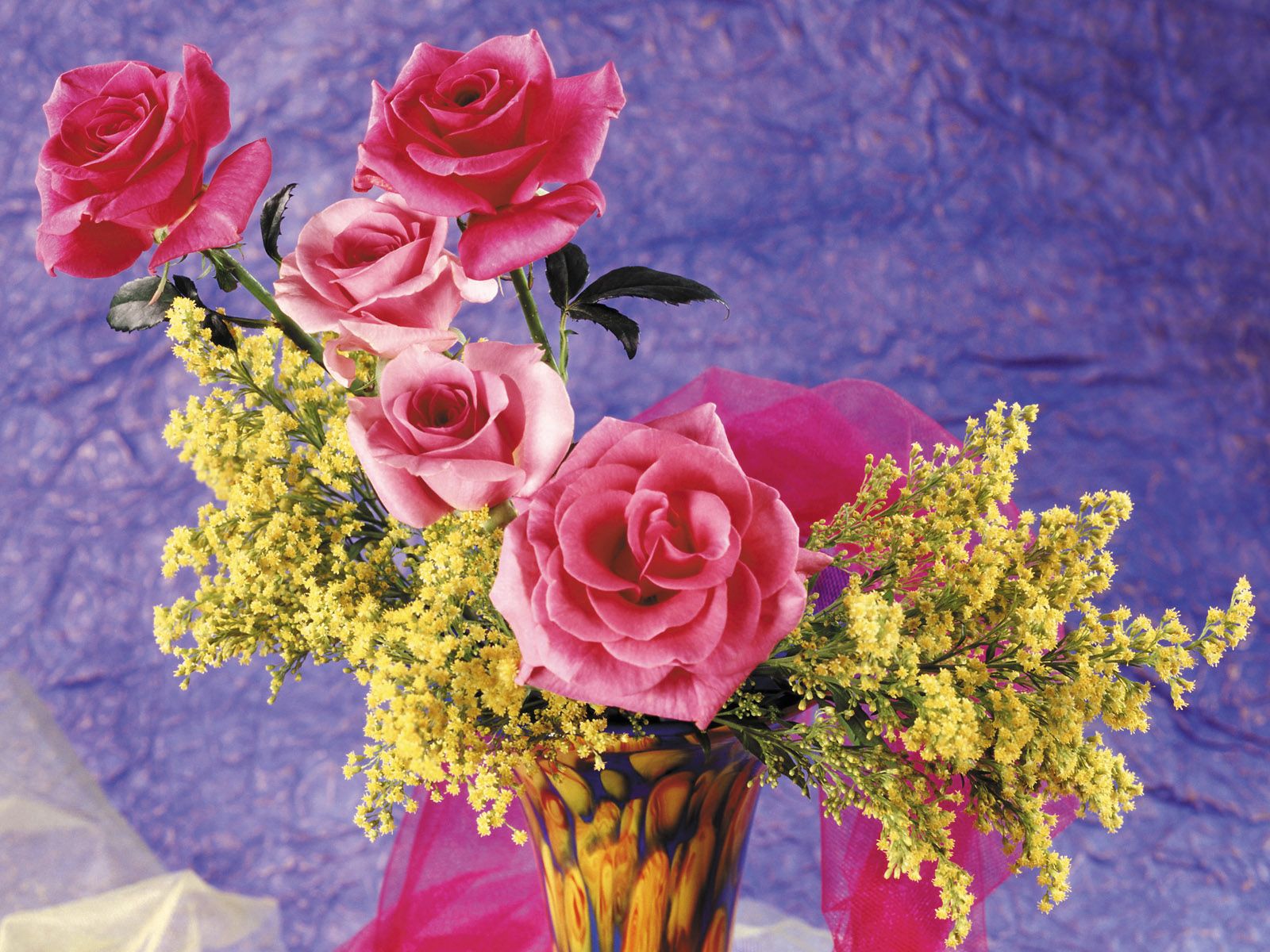 69550 descargar fondo de pantalla flores, roses, jarrón, mimosas, mimosa: protectores de pantalla e imágenes gratis