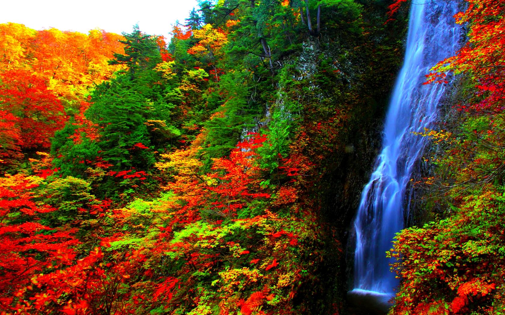 無料モバイル壁紙秋, 滝, 森, 地球をダウンロードします。