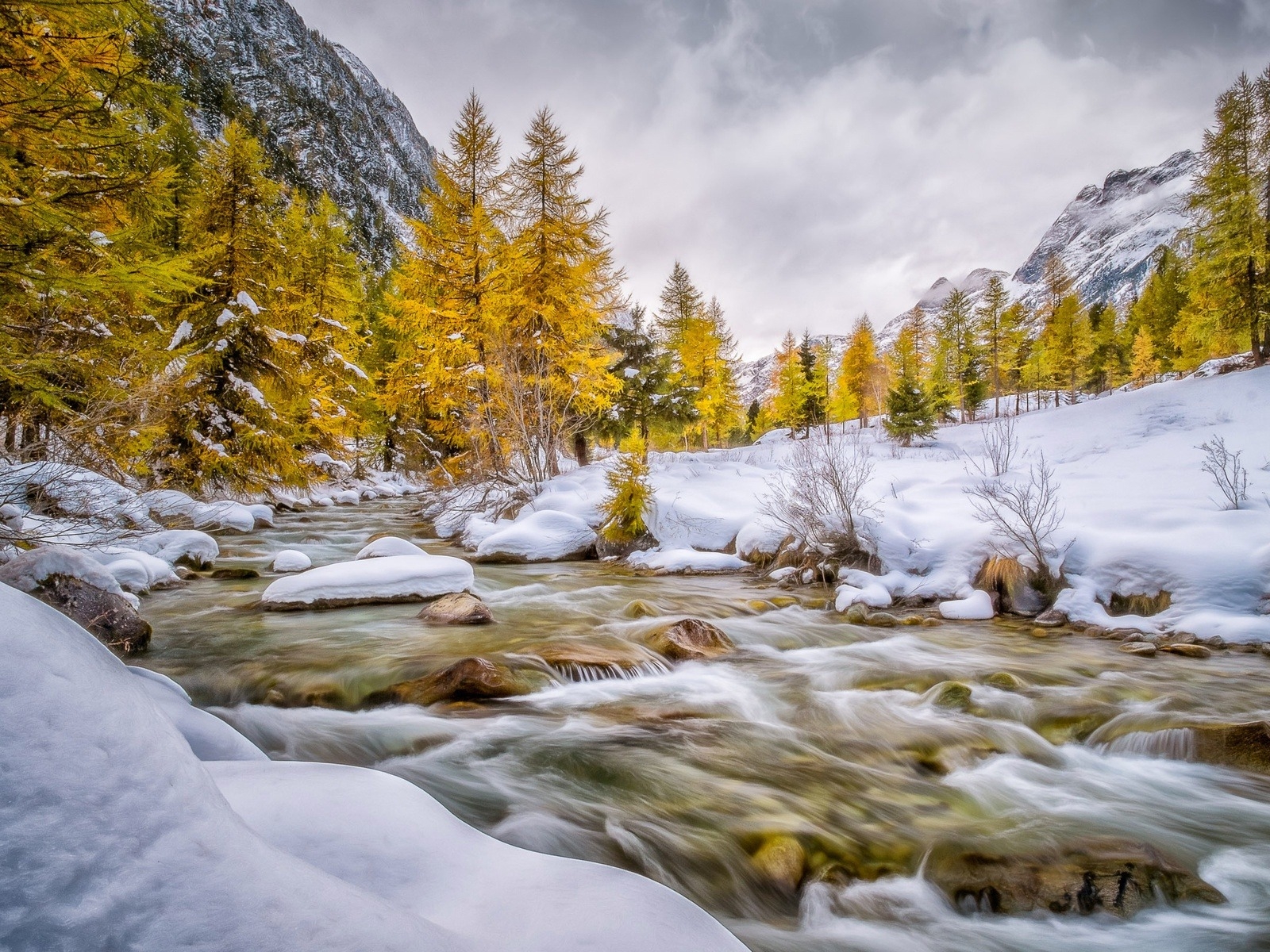 Скачать картинку Зима, Природа, Река, Снег, Дерево, Земля/природа в телефон бесплатно.