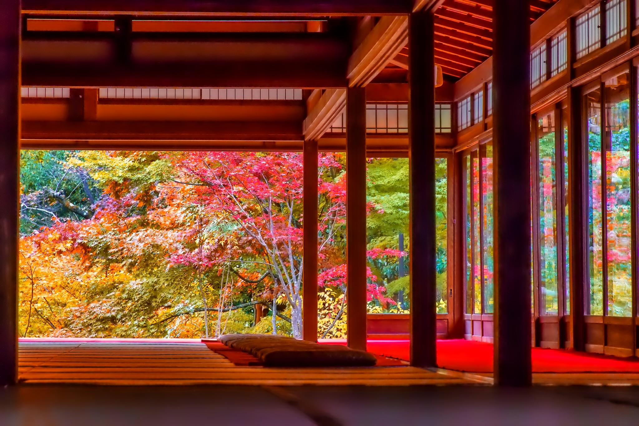 799116 descargar imagen japón, fotografía, oriental, otoño, japonés, árbol: fondos de pantalla y protectores de pantalla gratis