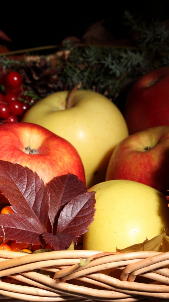 Handy-Wallpaper Obst, Herbst, Frucht, Korb, Apfel, Erntedankfest, Nahrungsmittel, Stillleben, Das Erntedankfest kostenlos herunterladen.