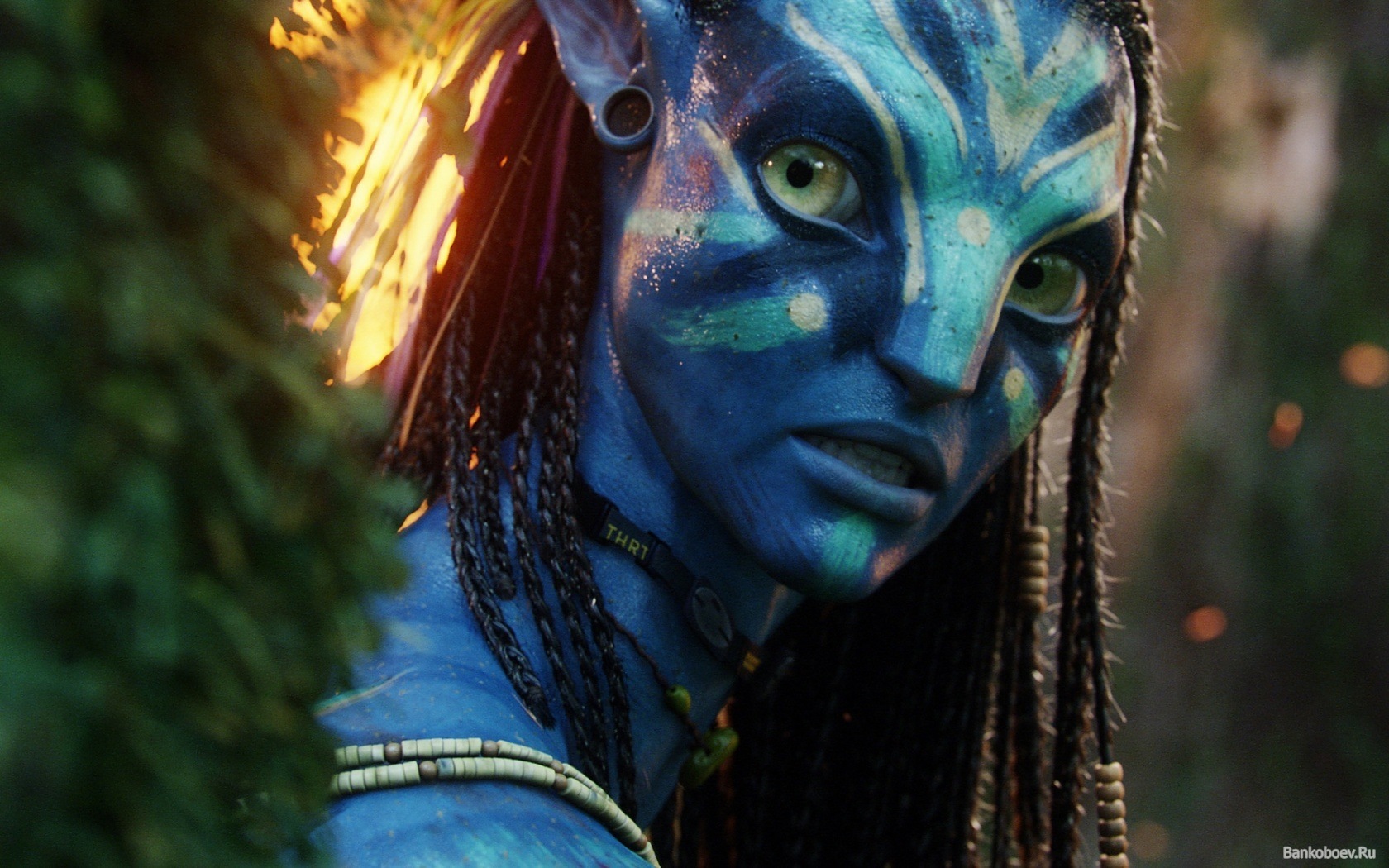Télécharger des fonds d'écran Avatar HD