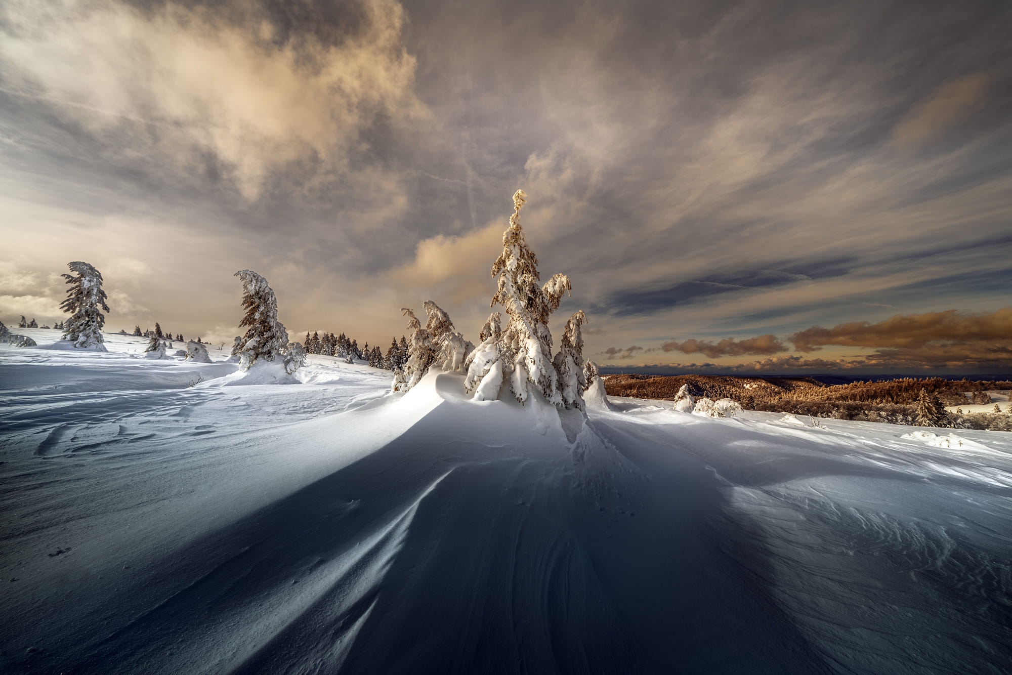 Laden Sie das Winter, Natur, Schnee, Tanne, Erde/natur-Bild kostenlos auf Ihren PC-Desktop herunter